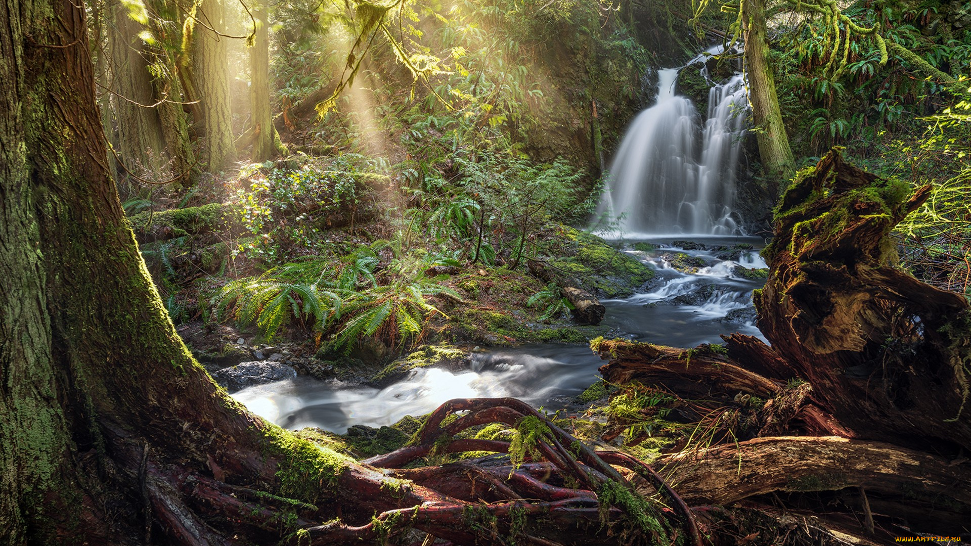 природа, водопады, простор
