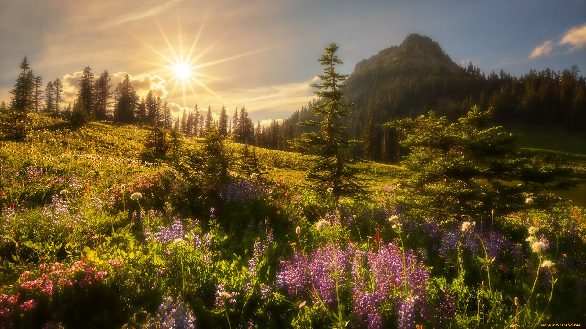 природа, восходы, закаты, простор