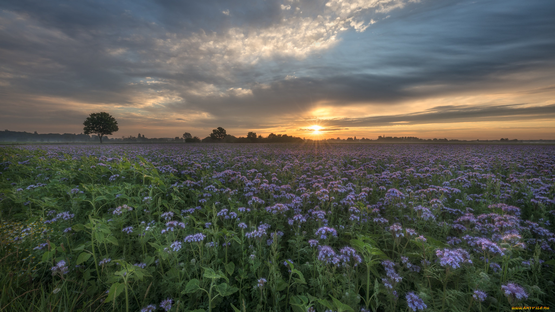 природа, восходы, закаты, простор