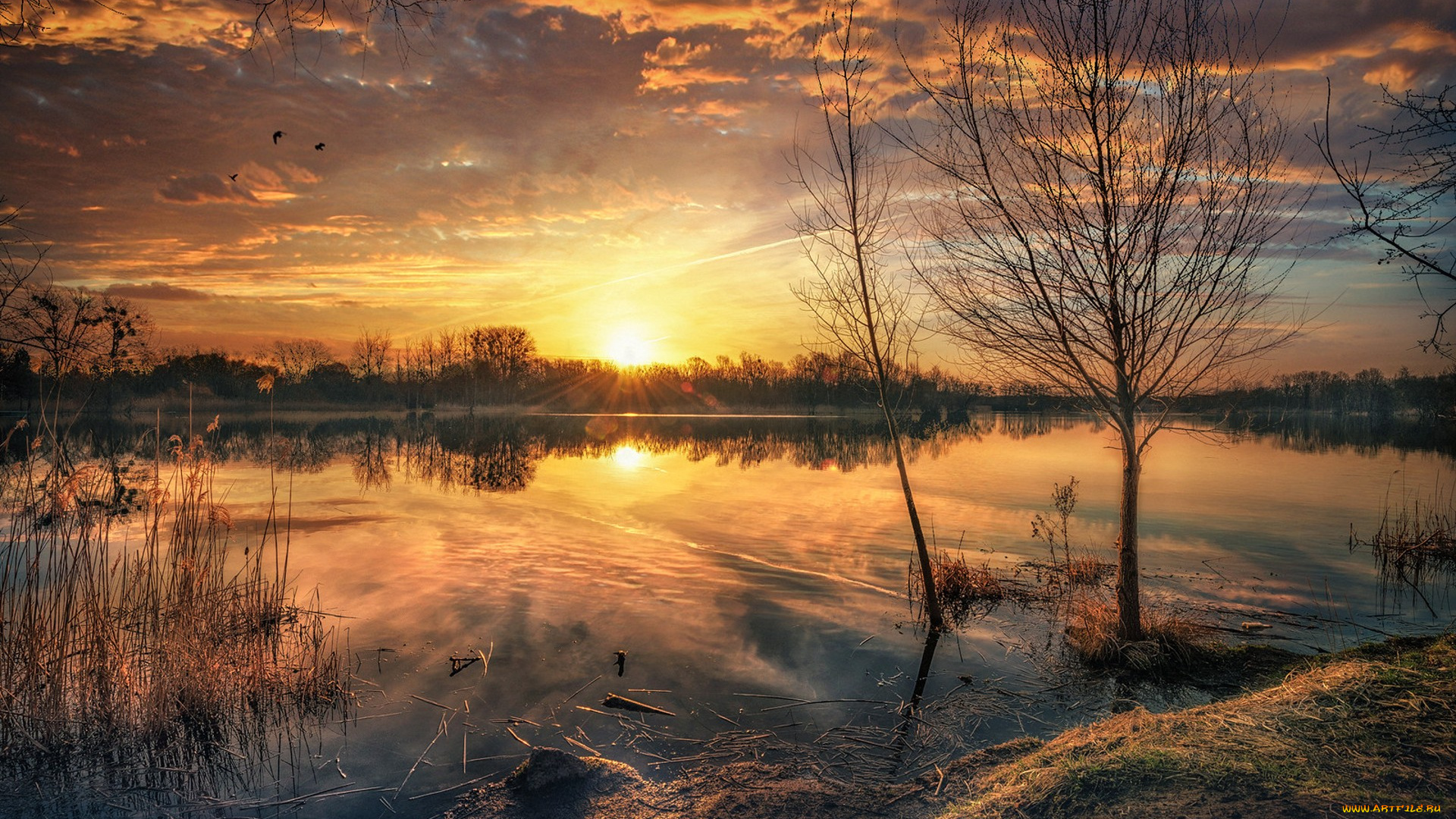 природа, восходы, закаты, простор