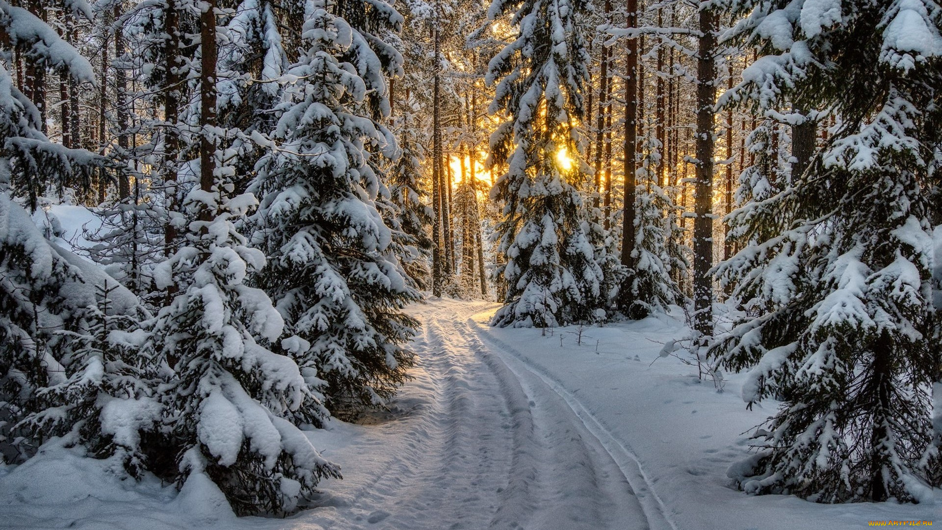 природа, зима, простор