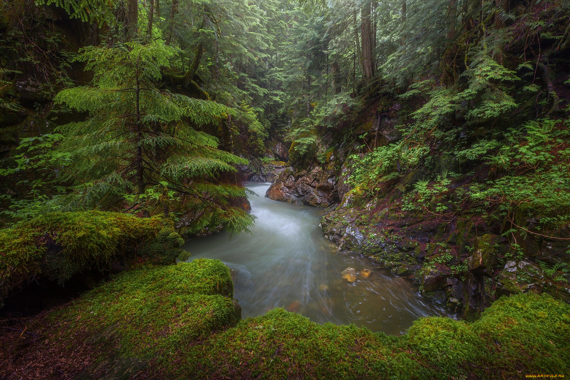 природа, реки, озера, простор