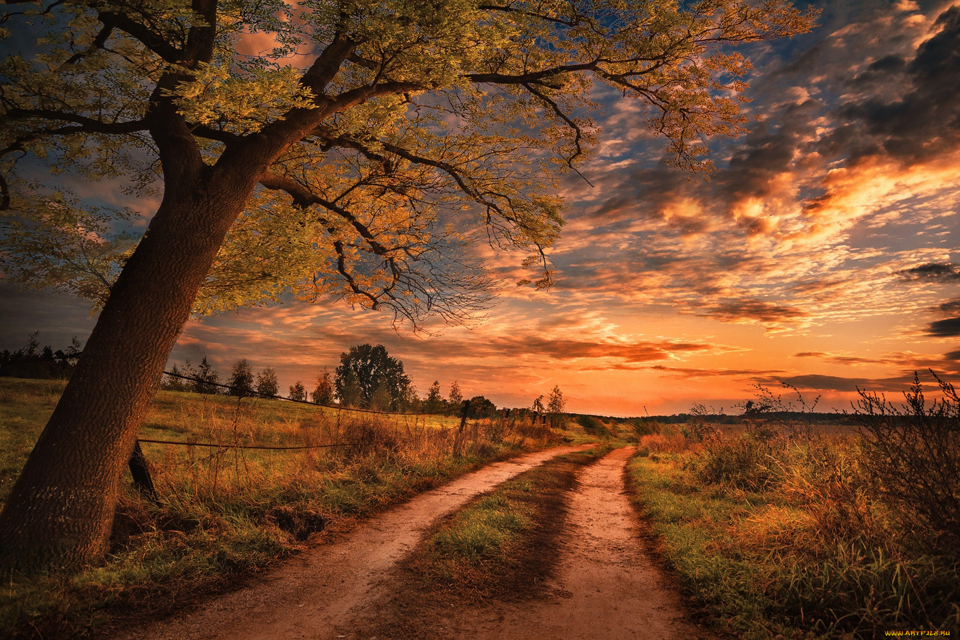 природа, дороги, простор