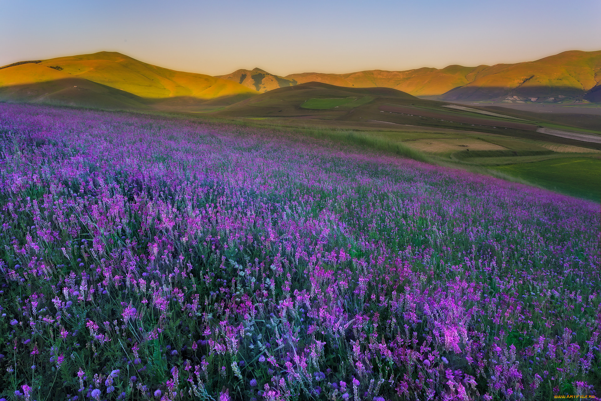 природа, луга, простор