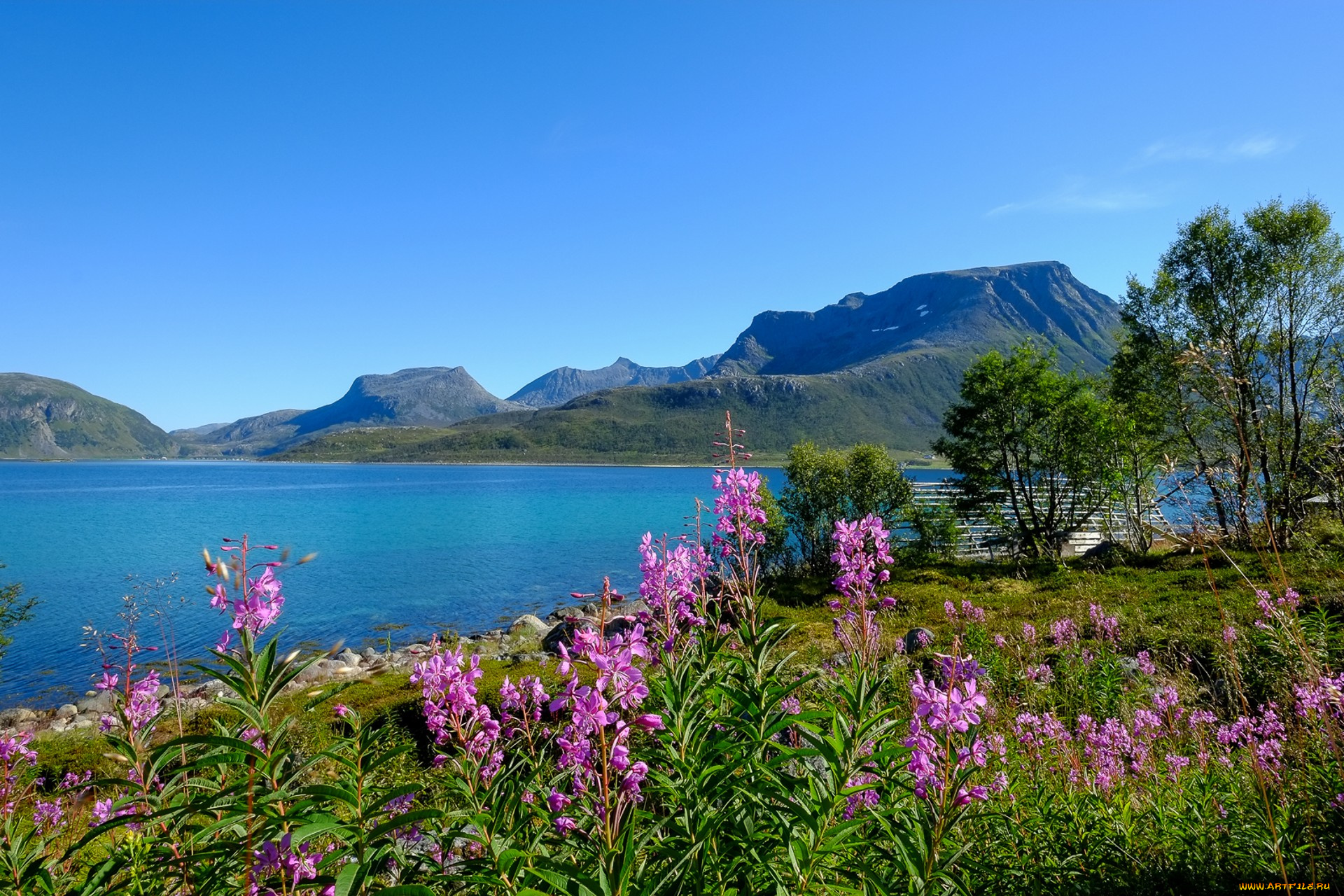 природа, побережье, простор