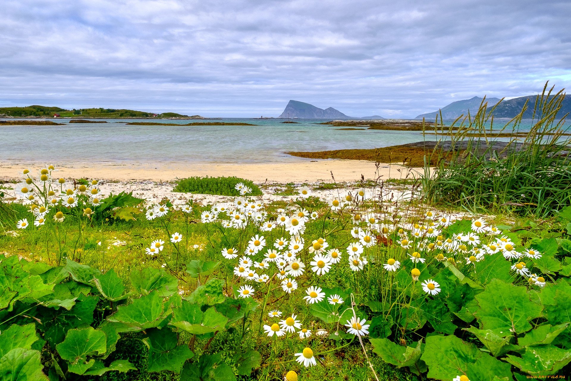 природа, реки, озера, простор