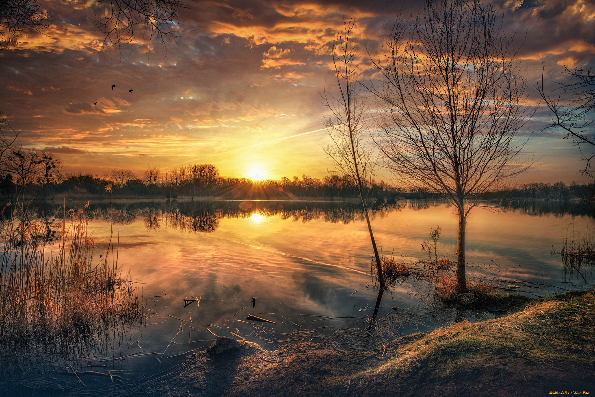 природа, восходы, закаты, простор