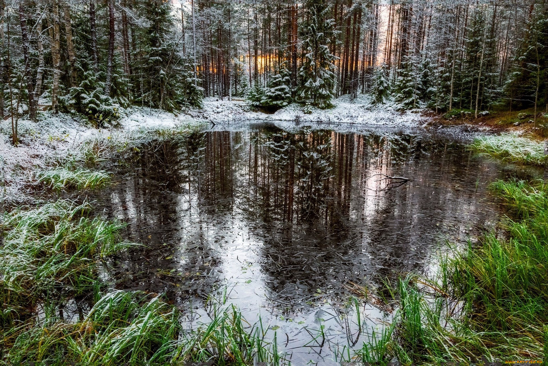 природа, реки, озера, простор