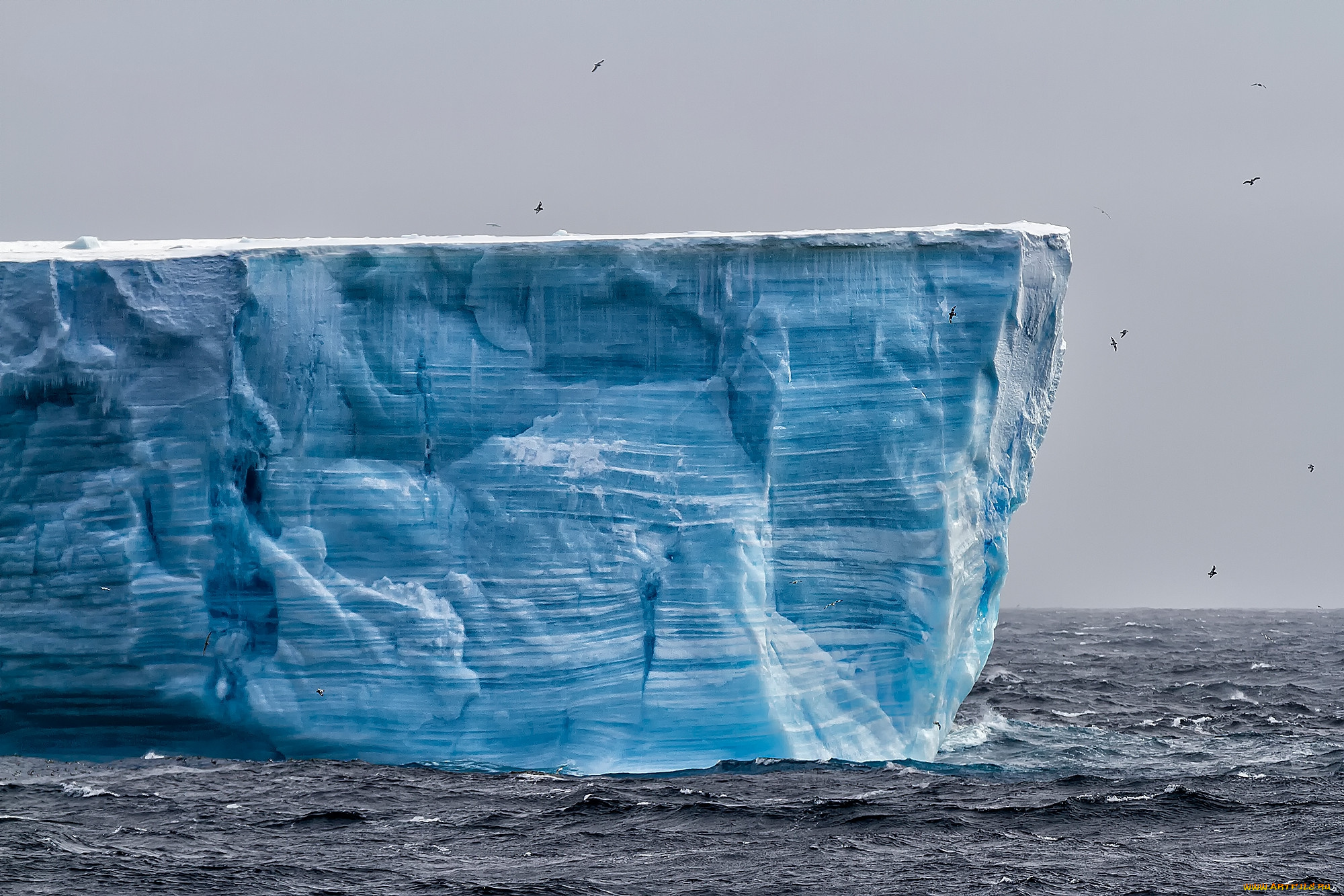 природа, айсберги, и, ледники, простор