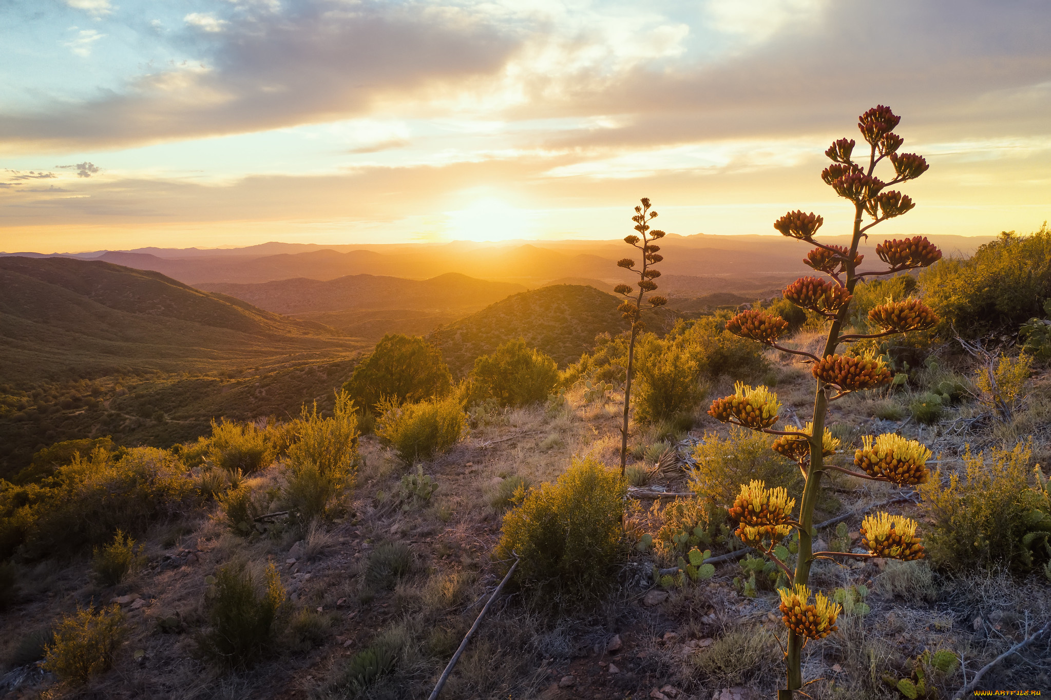природа, восходы, закаты, простор