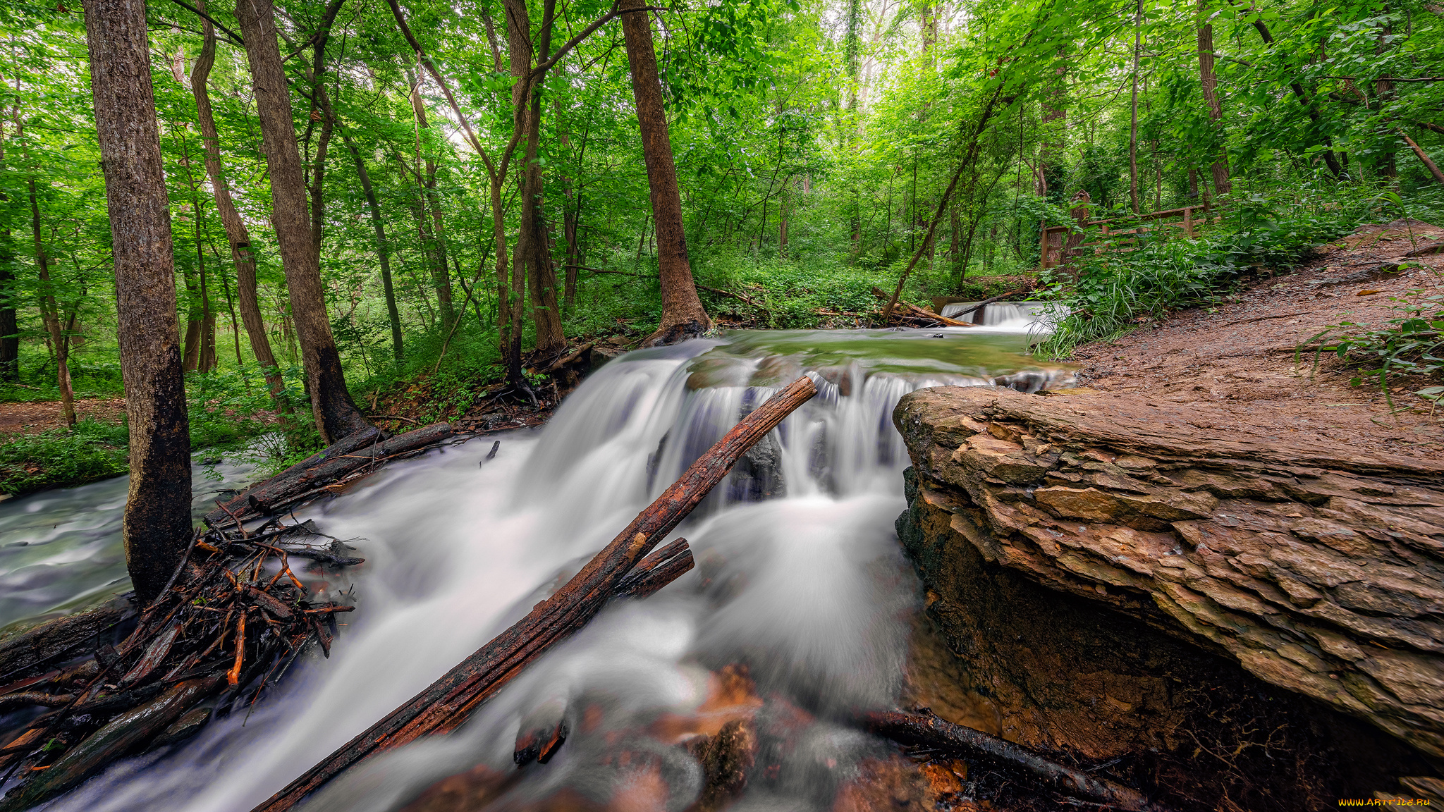 природа, реки, озера, простор