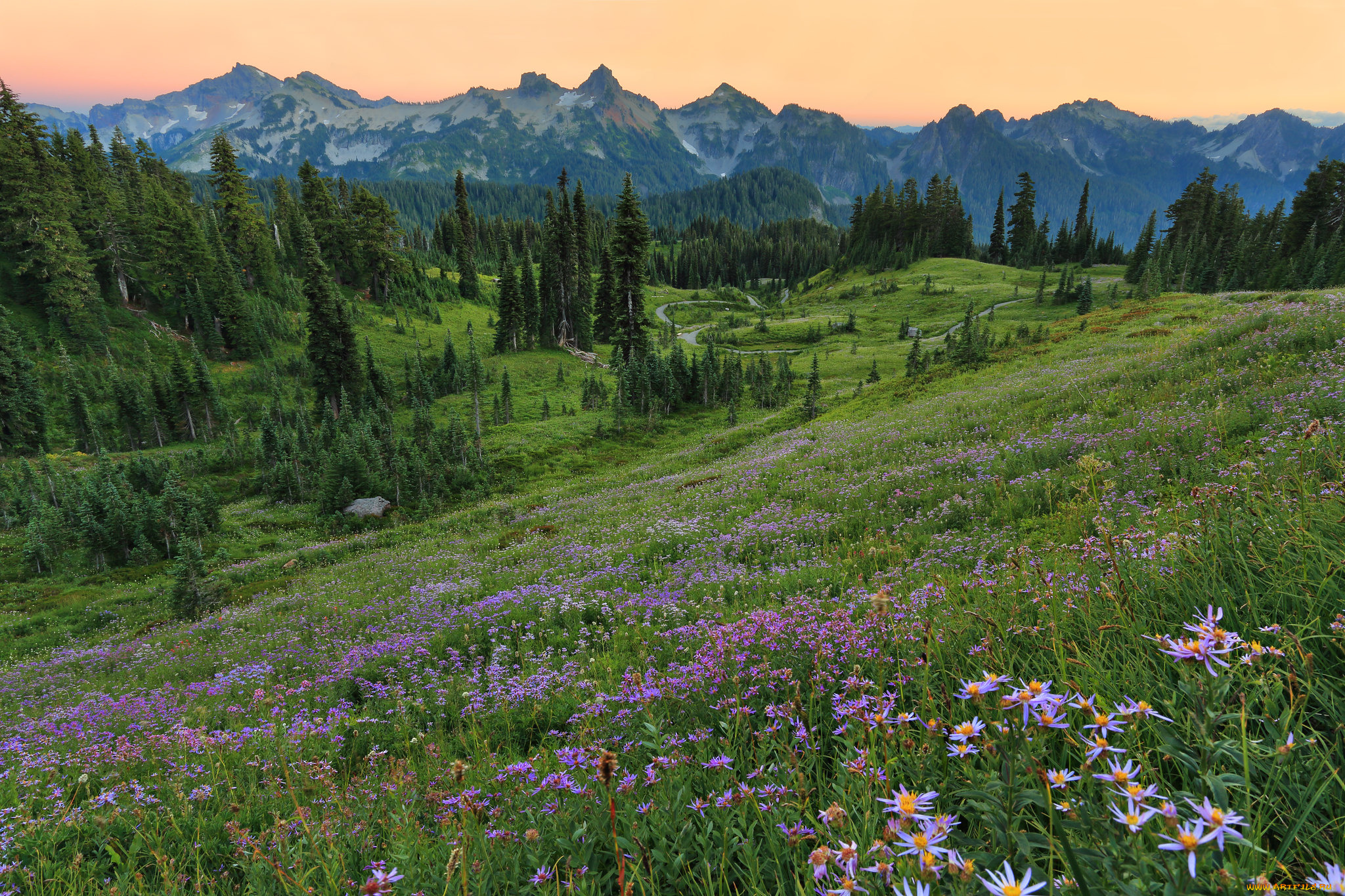 природа, пейзажи, простор