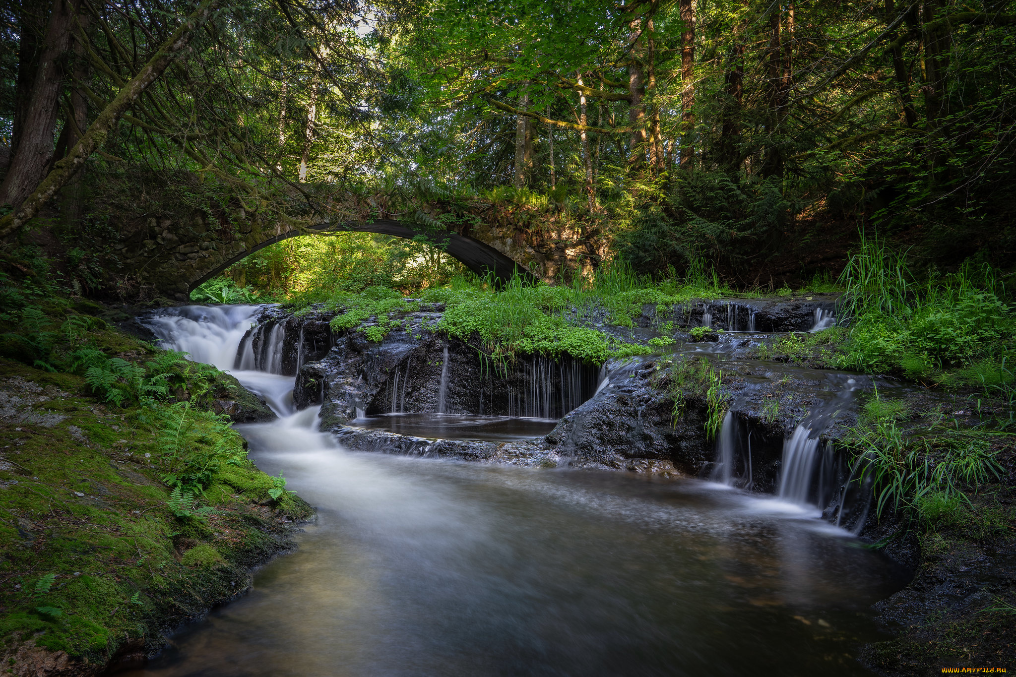 природа, реки, озера, простор