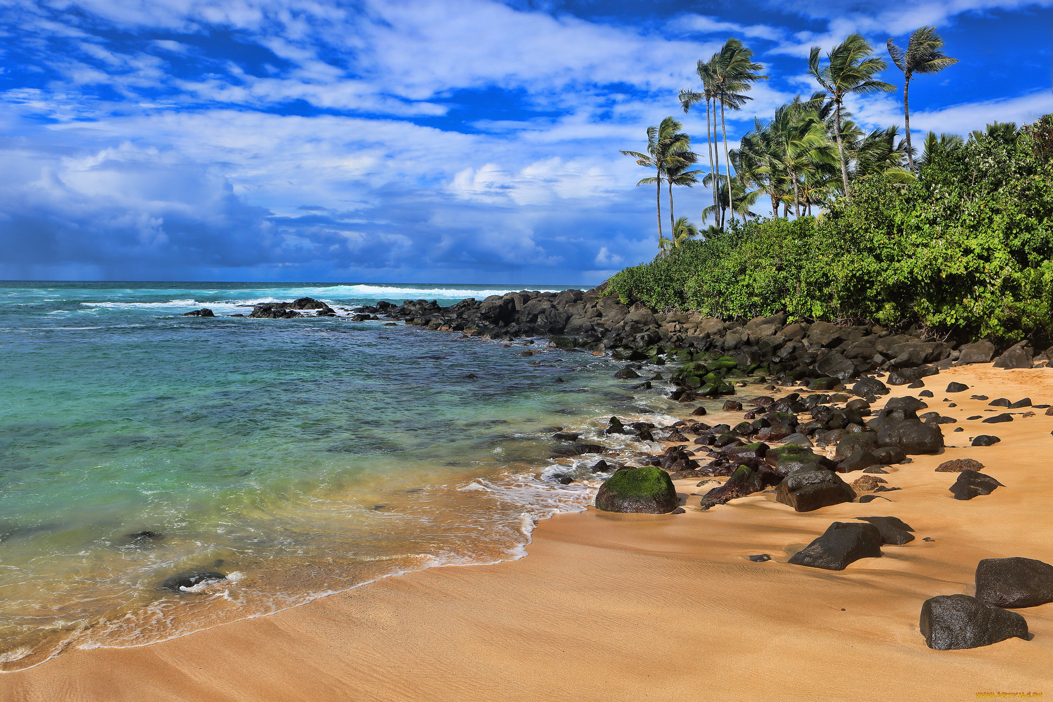 природа, тропики, простор