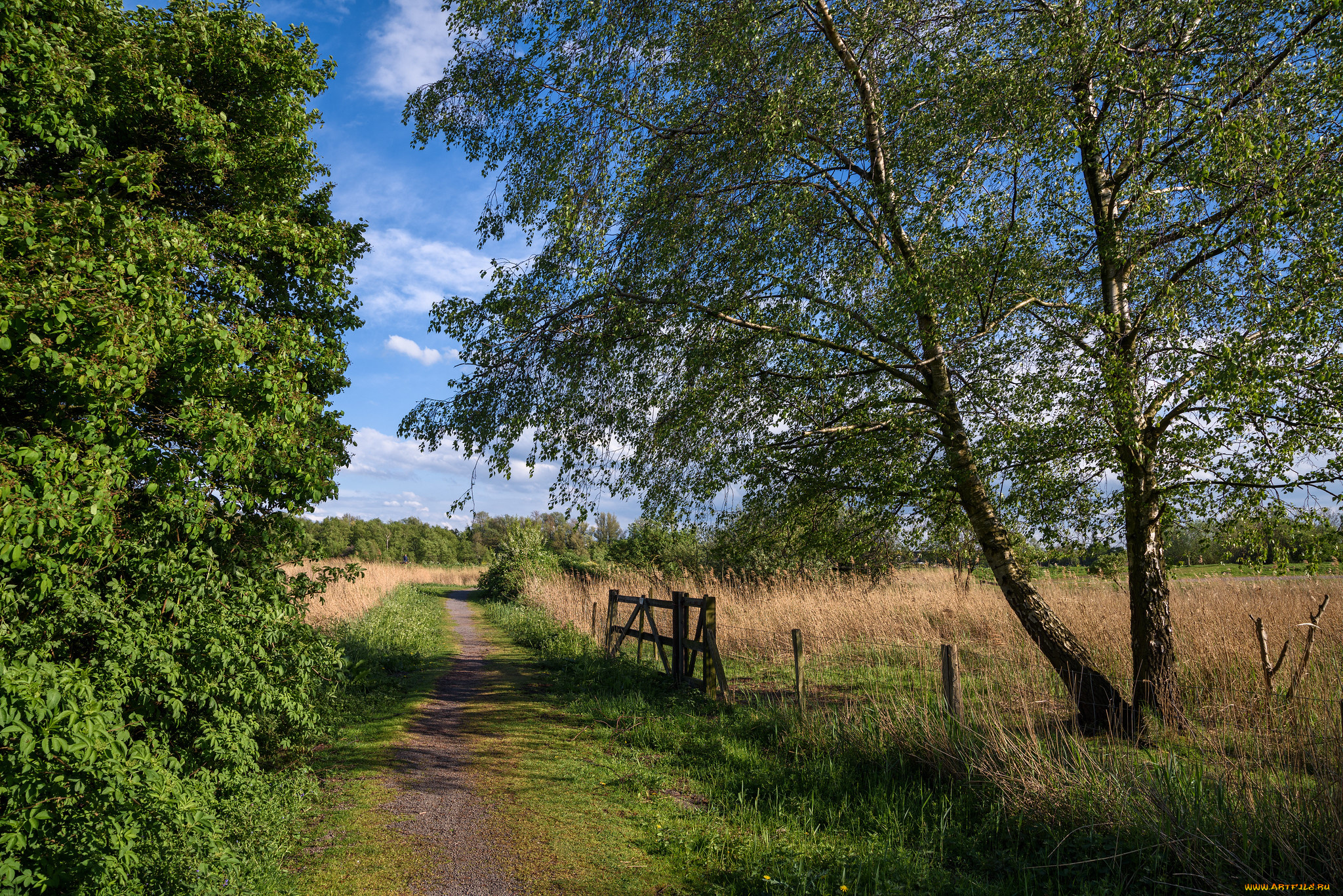 природа, дороги, простор