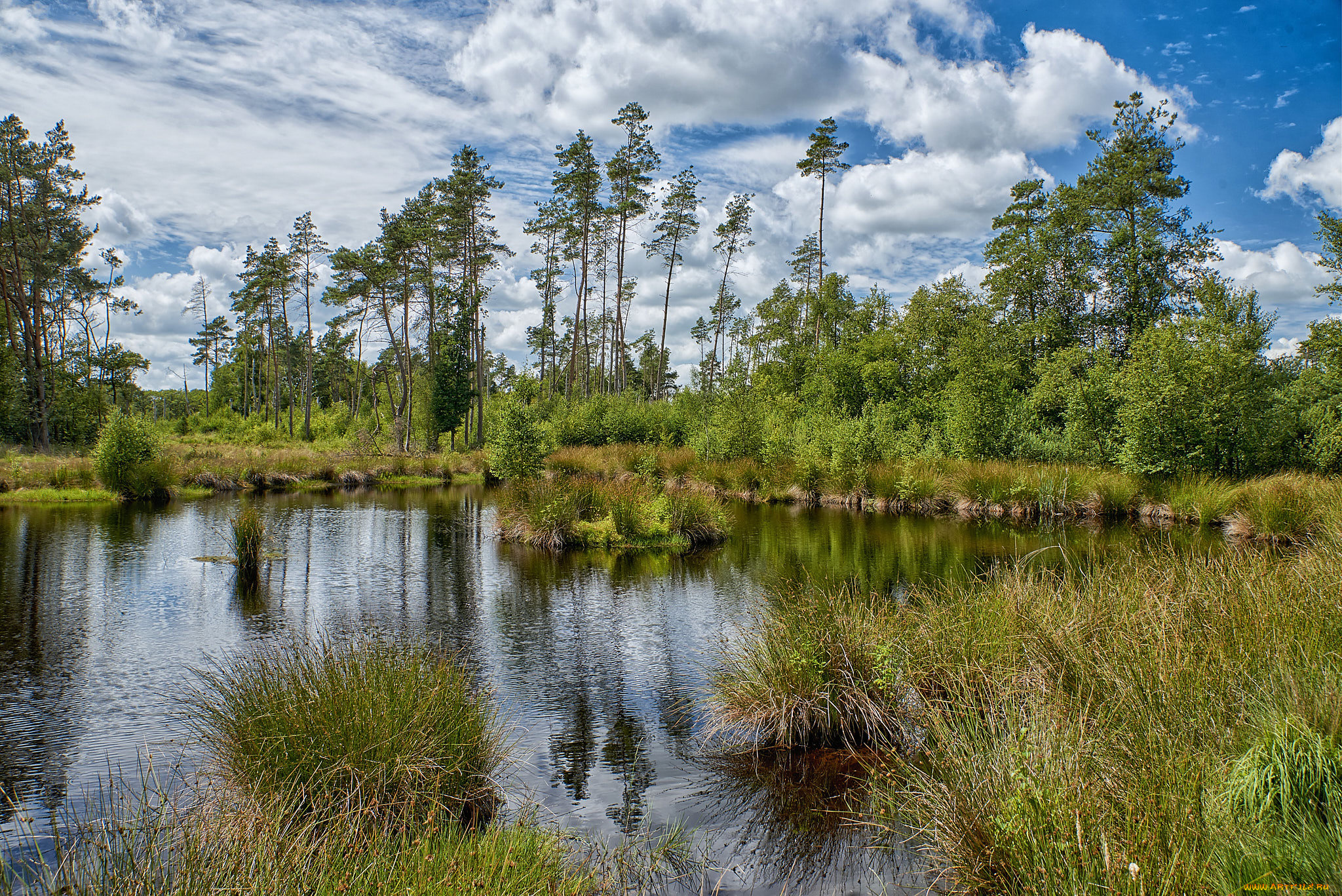 природа, реки, озера, простор