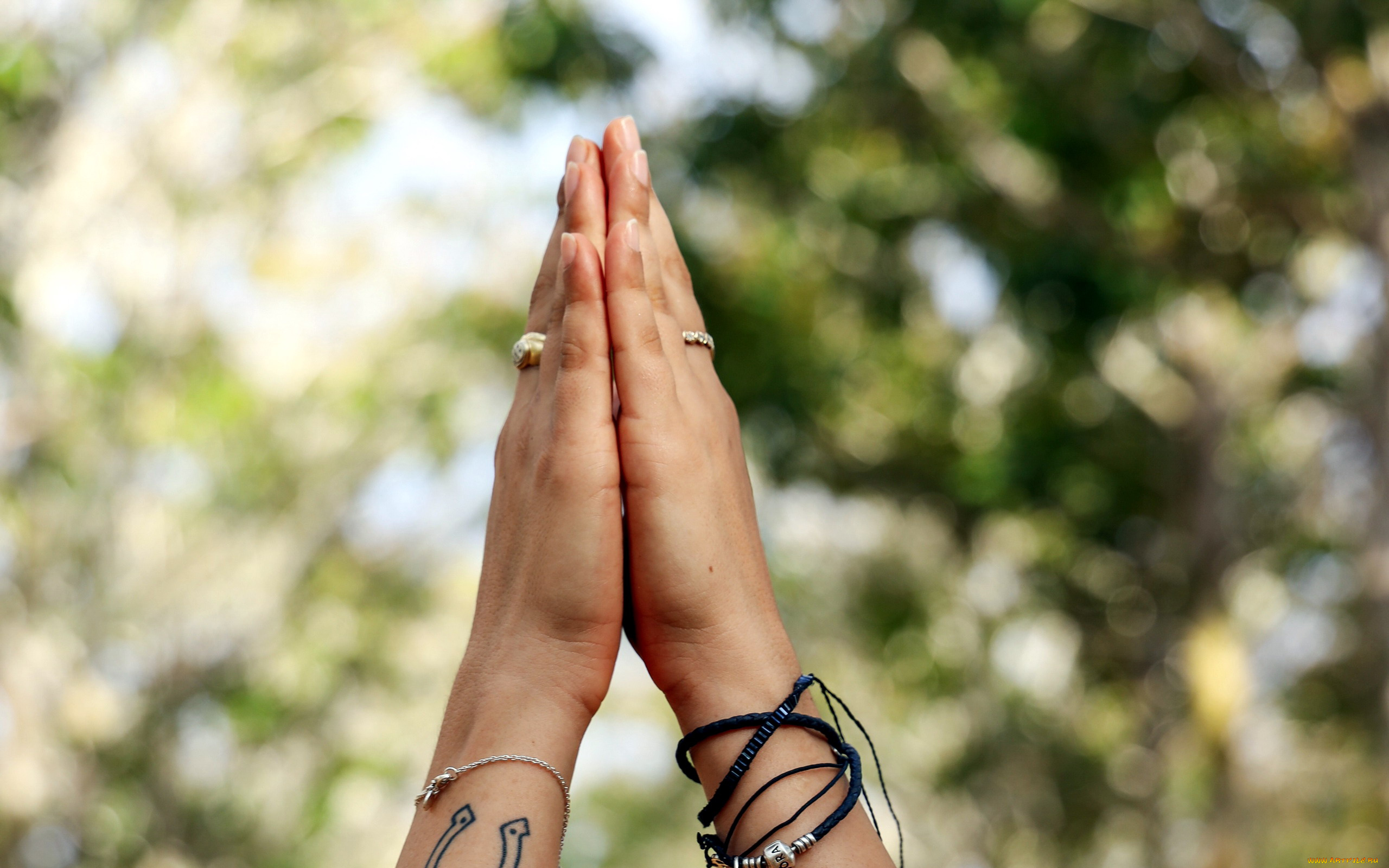 разное, руки, , ноги, жест