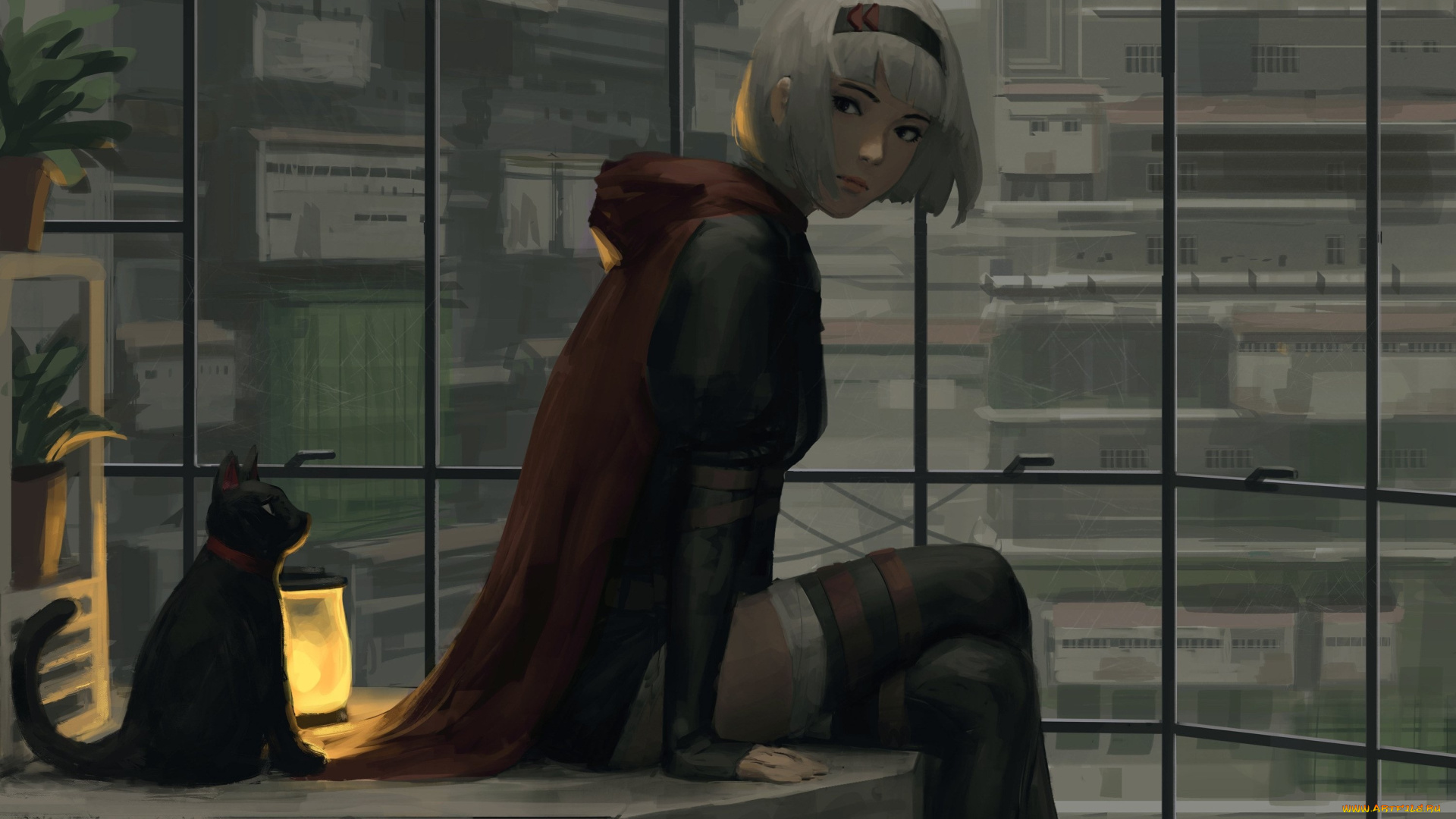 аниме, животные, , существа, девушка