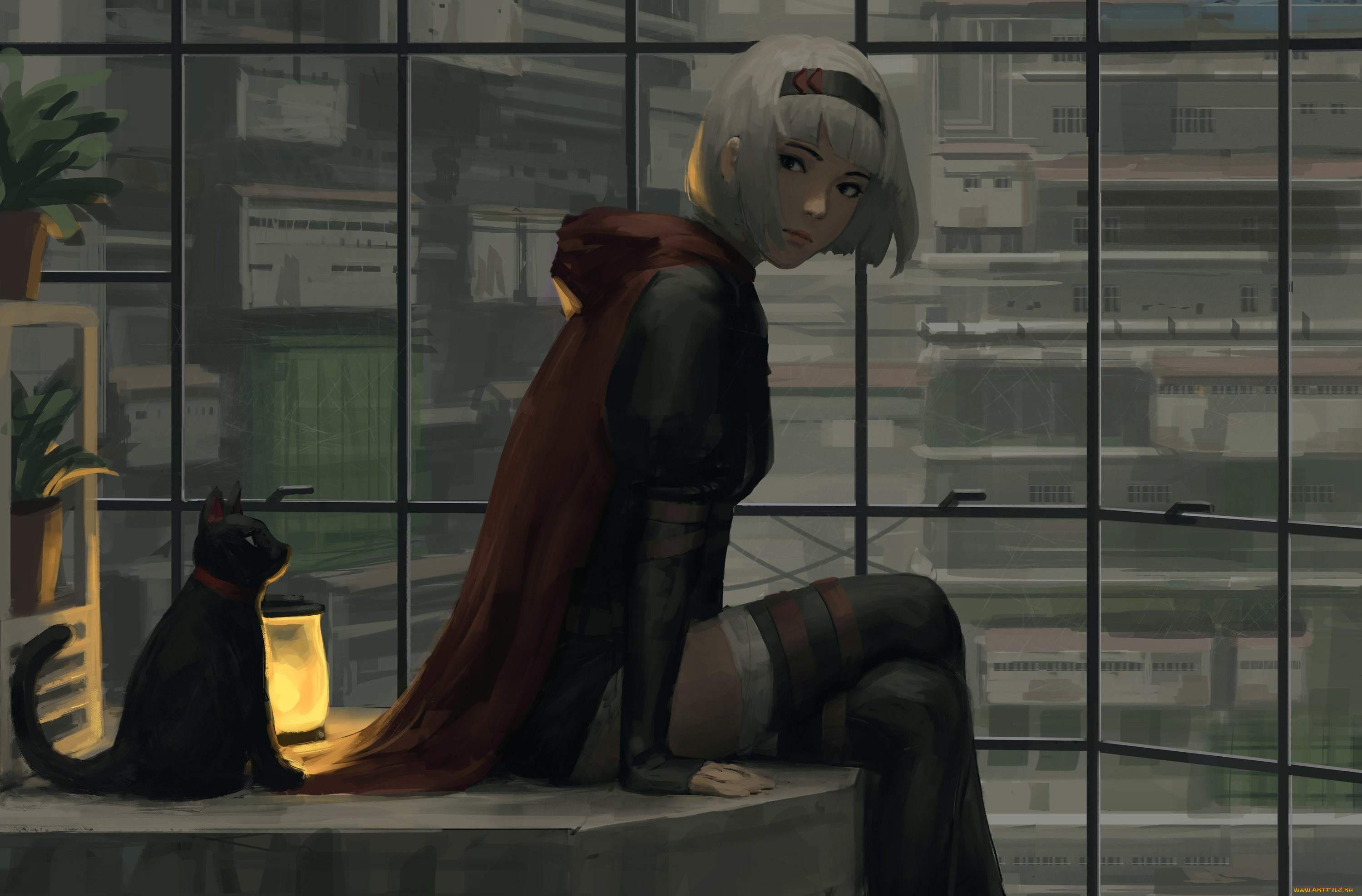 аниме, животные, , существа, девушка