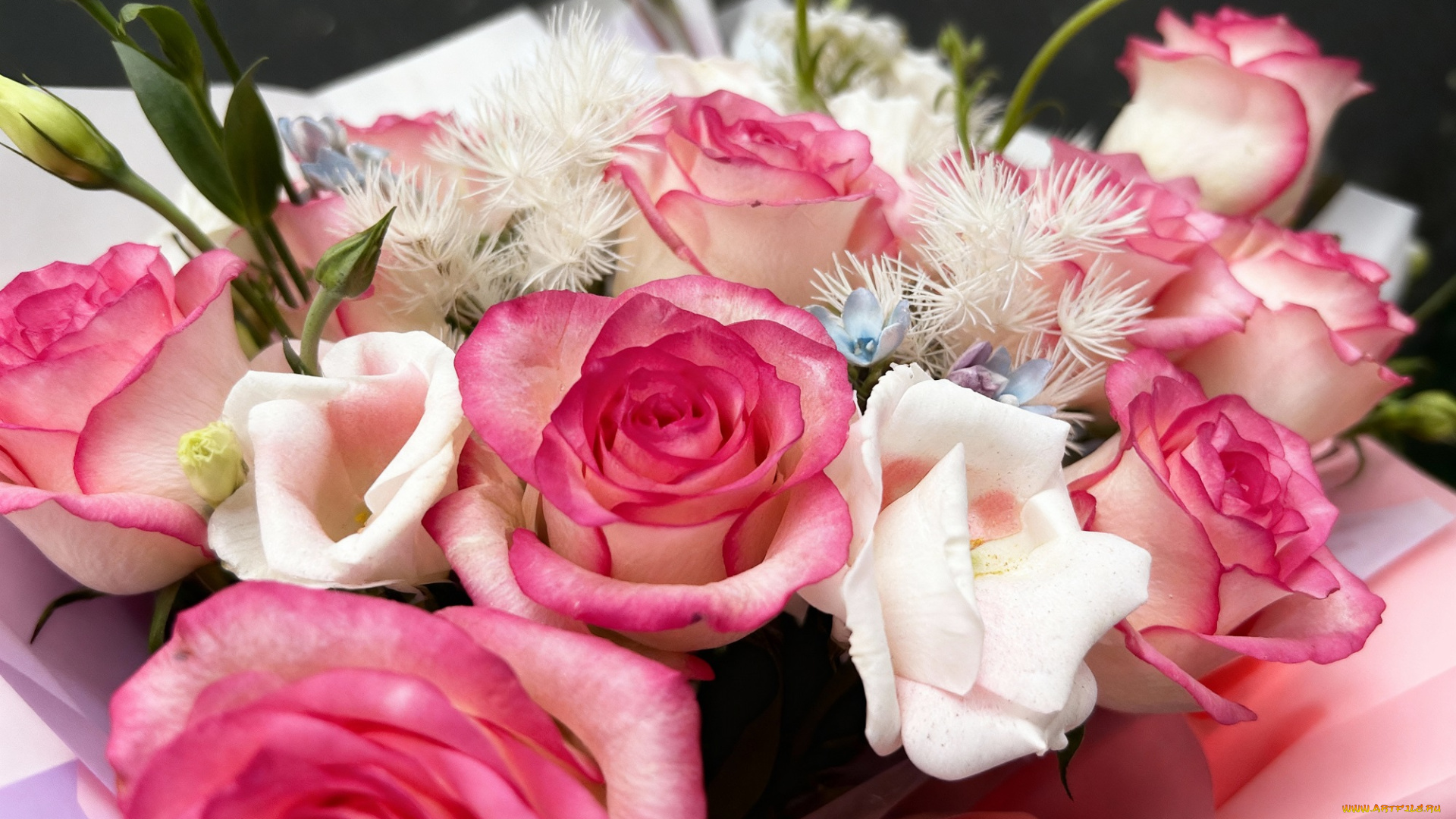 цветы, букеты, , композиции