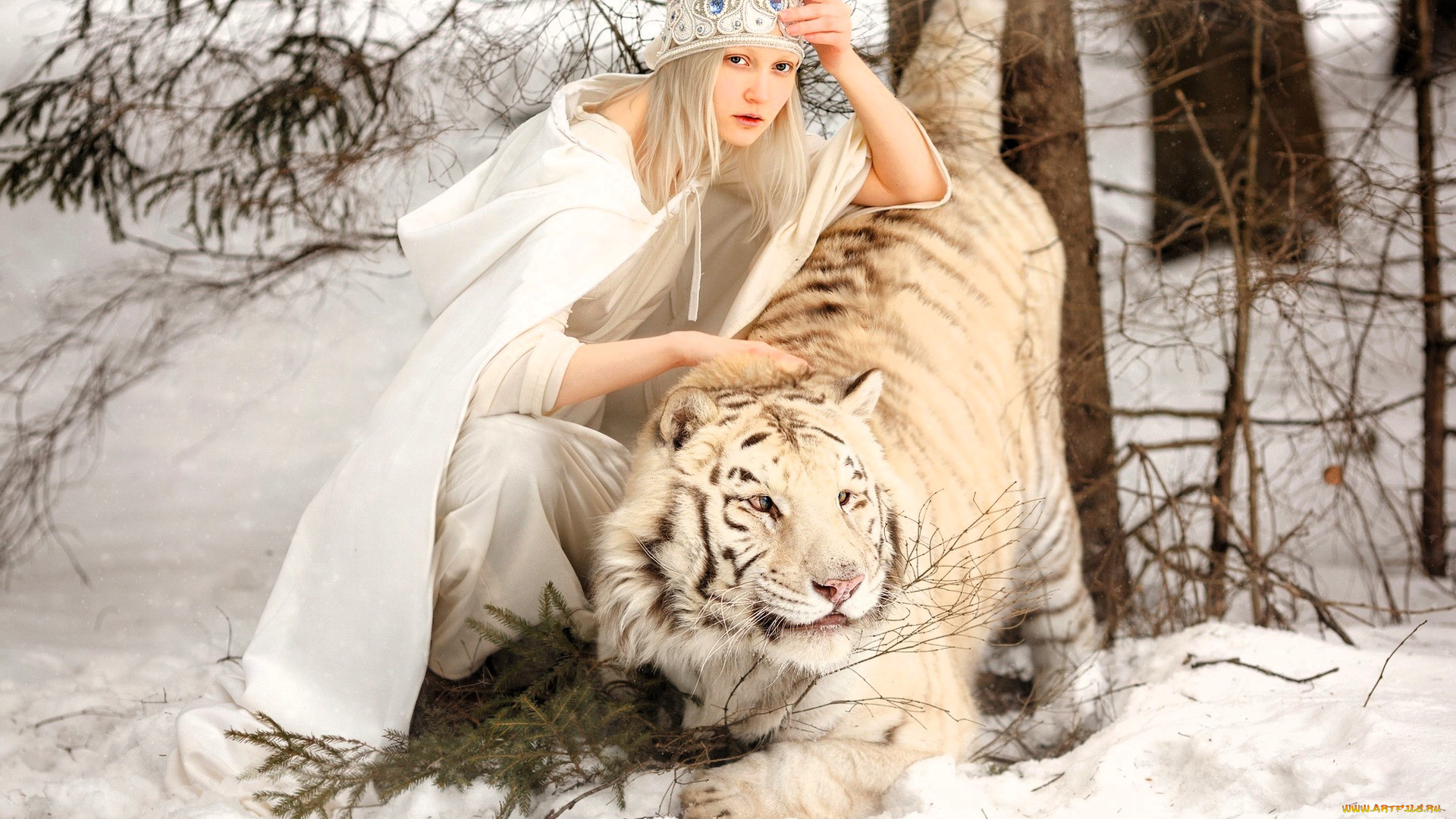 девушки, -, блондинки, , светловолосые, блондинка, шапка, наряд, тигр, снег, зима, лес