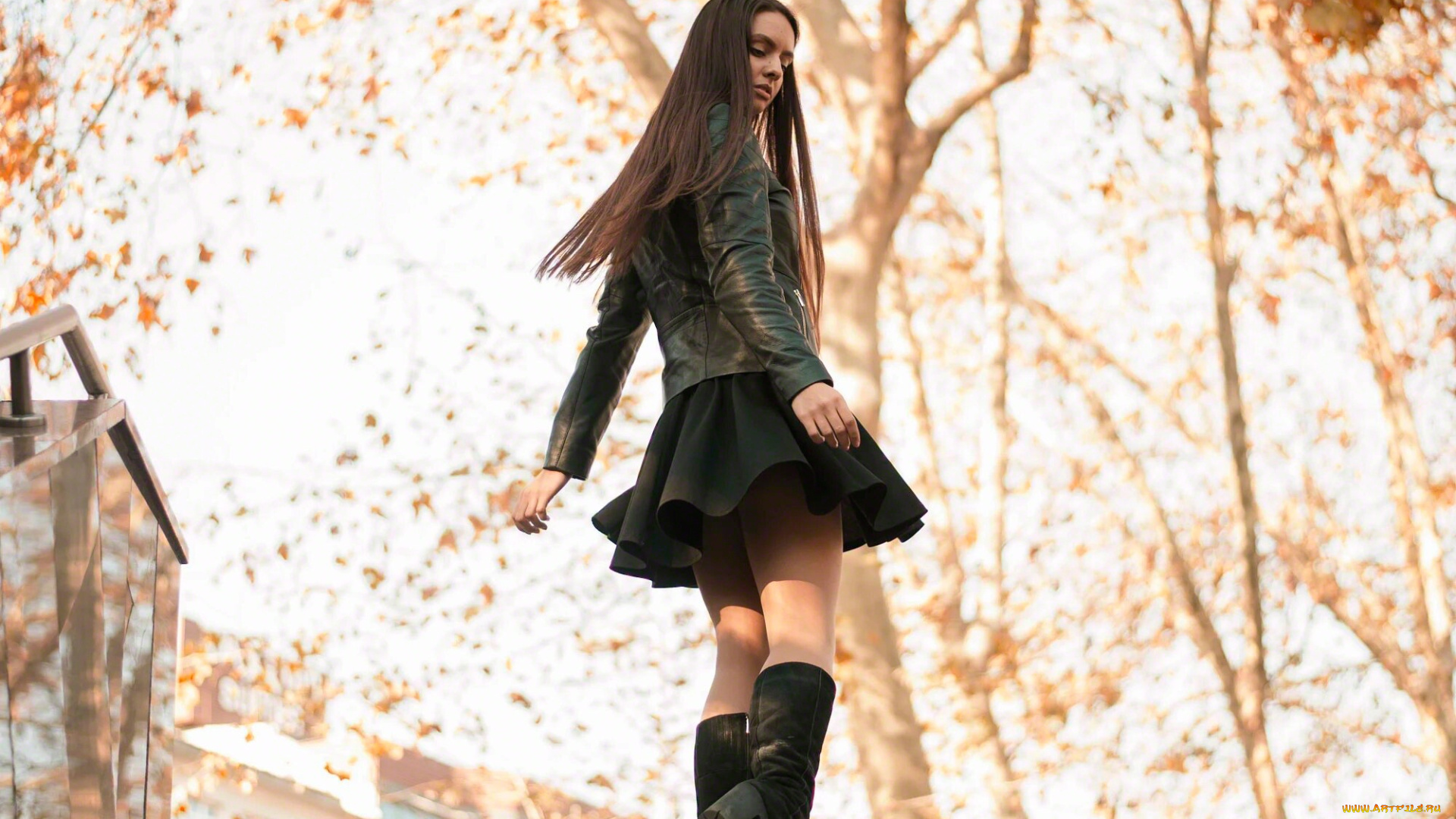 девушки, -, брюнетки, , шатенки, девушка