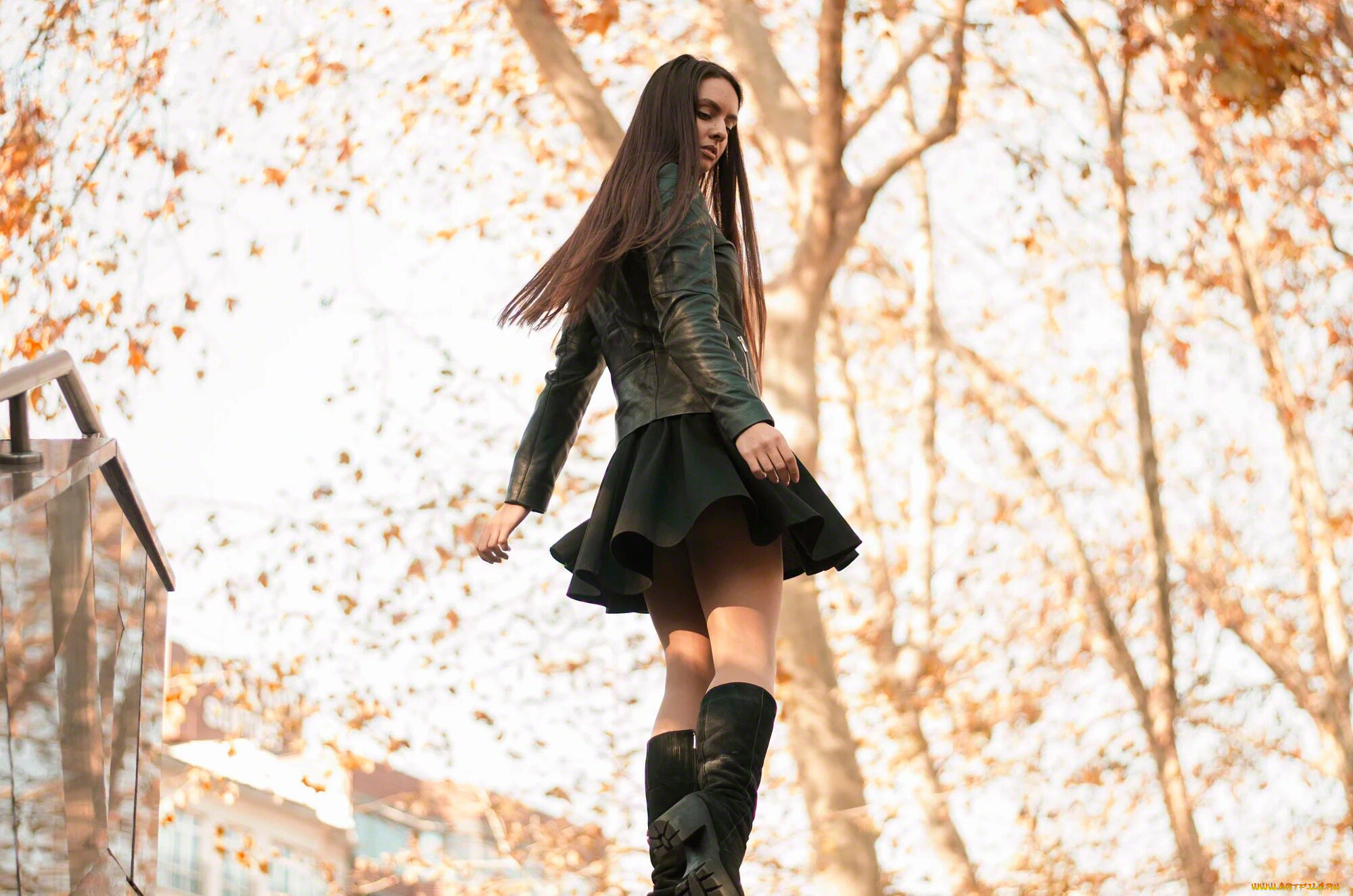 девушки, -, брюнетки, , шатенки, девушка