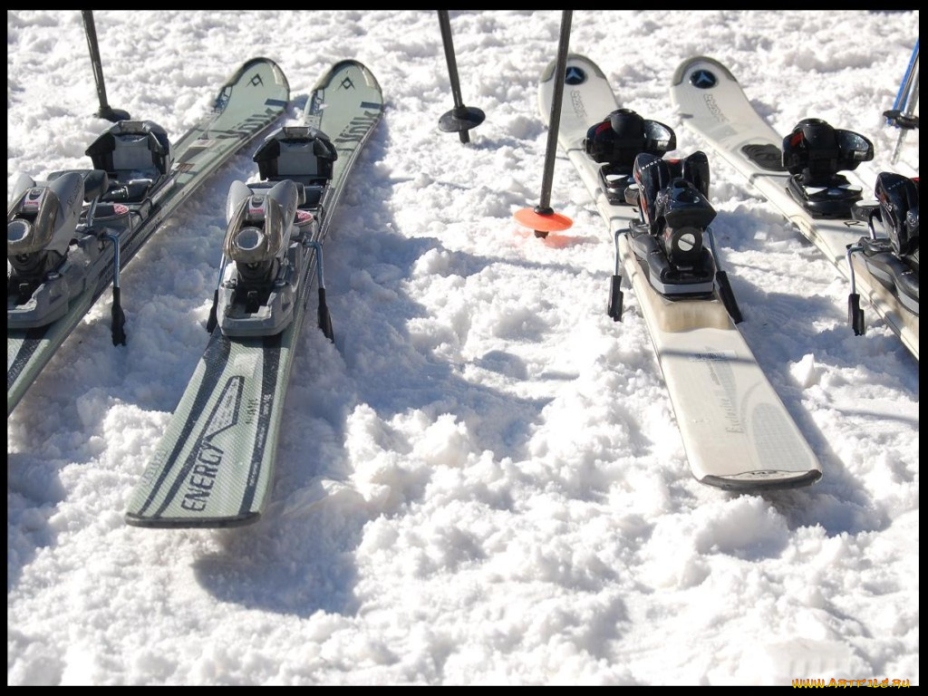 спорт, лыжный