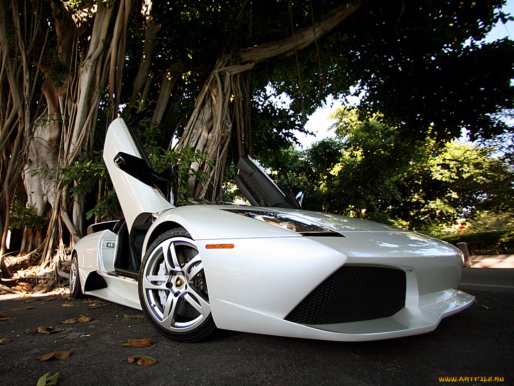 автомобили, lamborghini