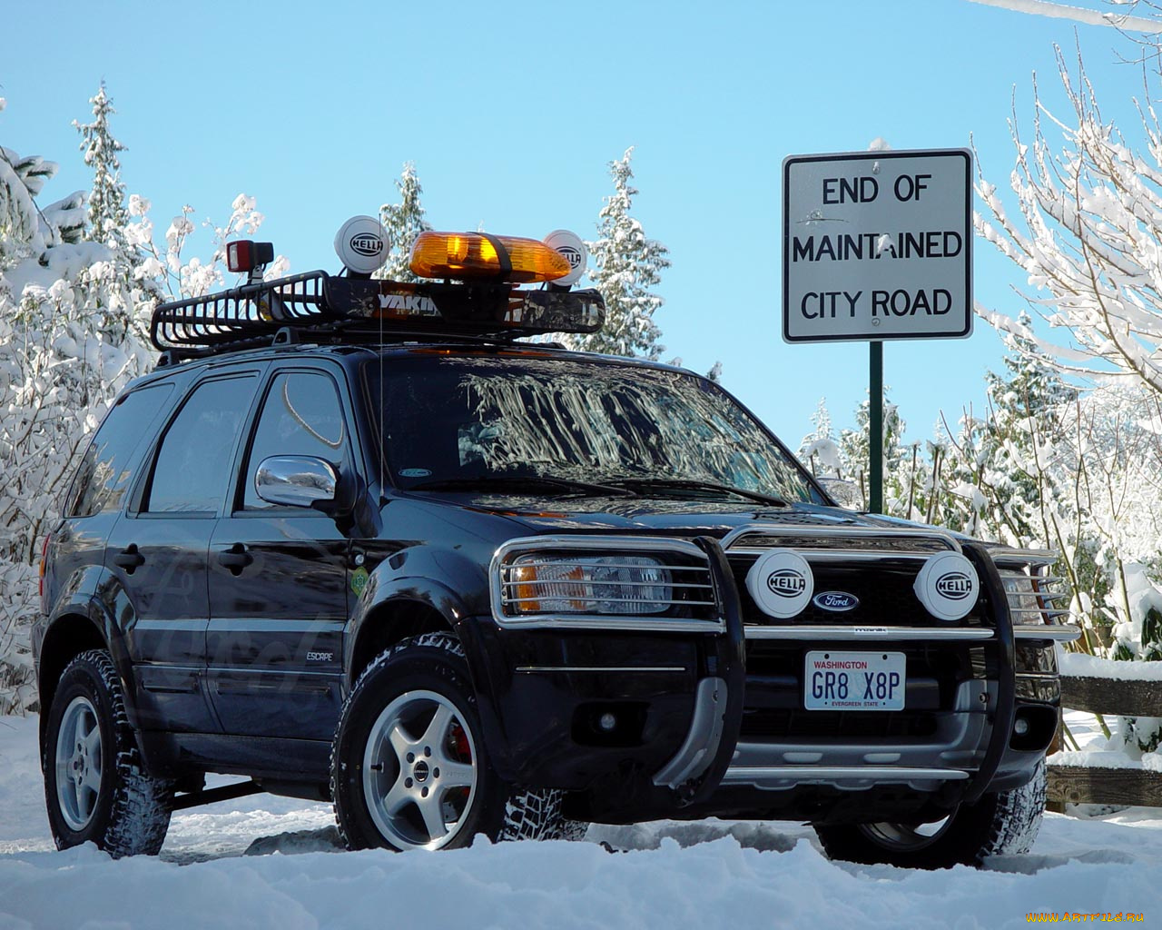 ford, escape, автомобили