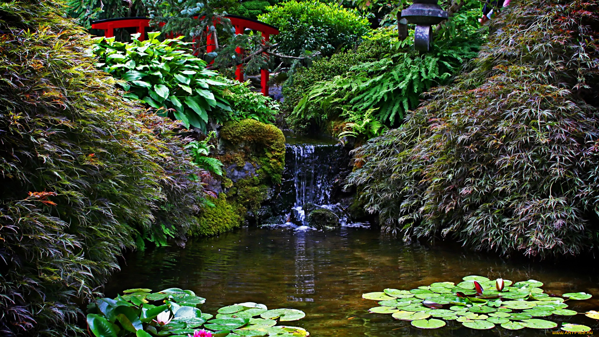 природа, парк