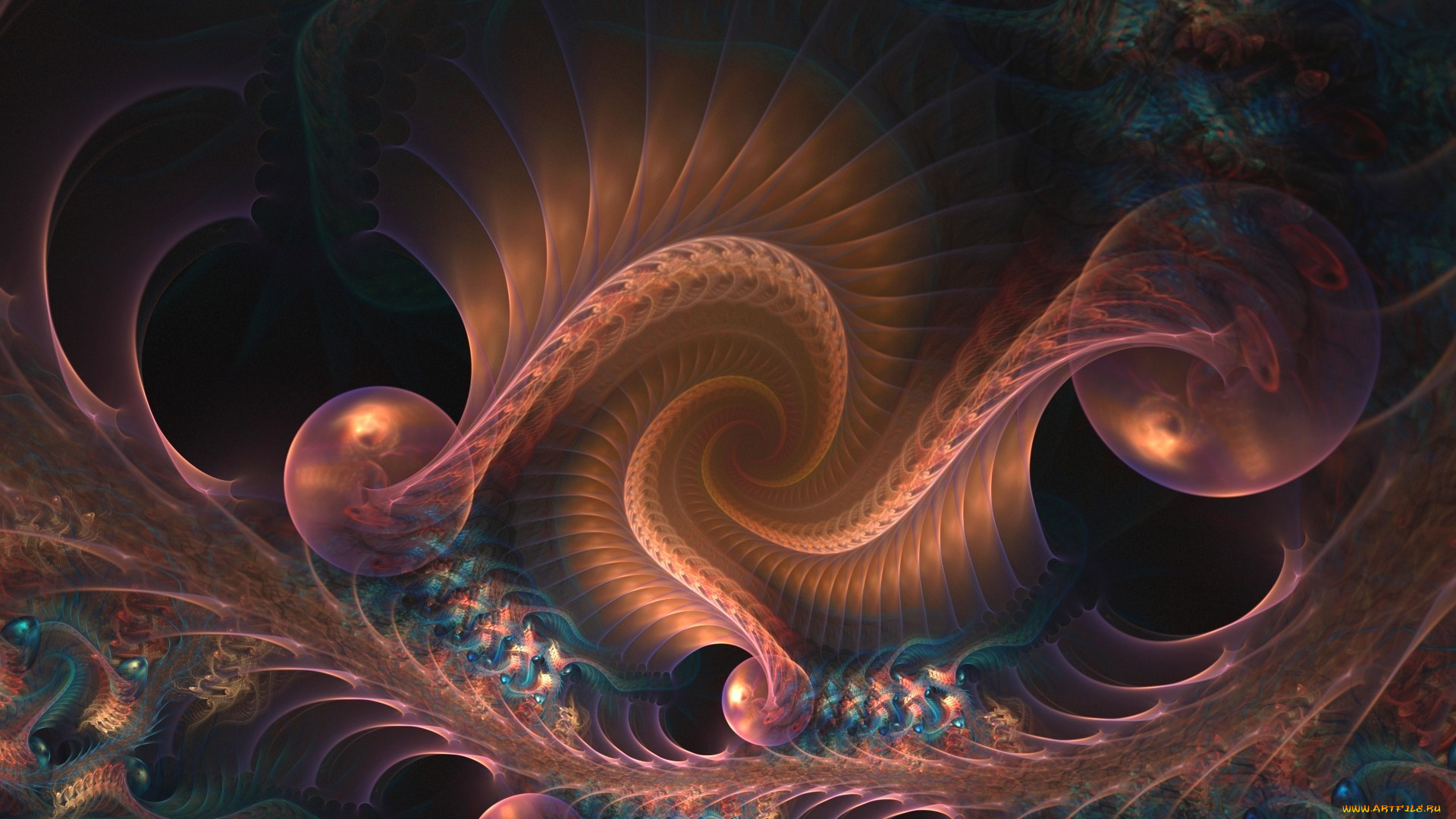 3д, графика, fractal, фракталы, фон, фрактал