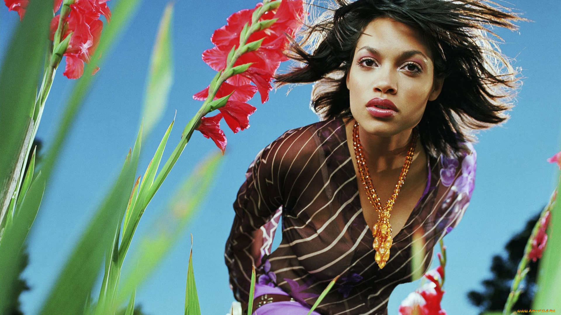 Rosario, Dawson, девушки, актриса