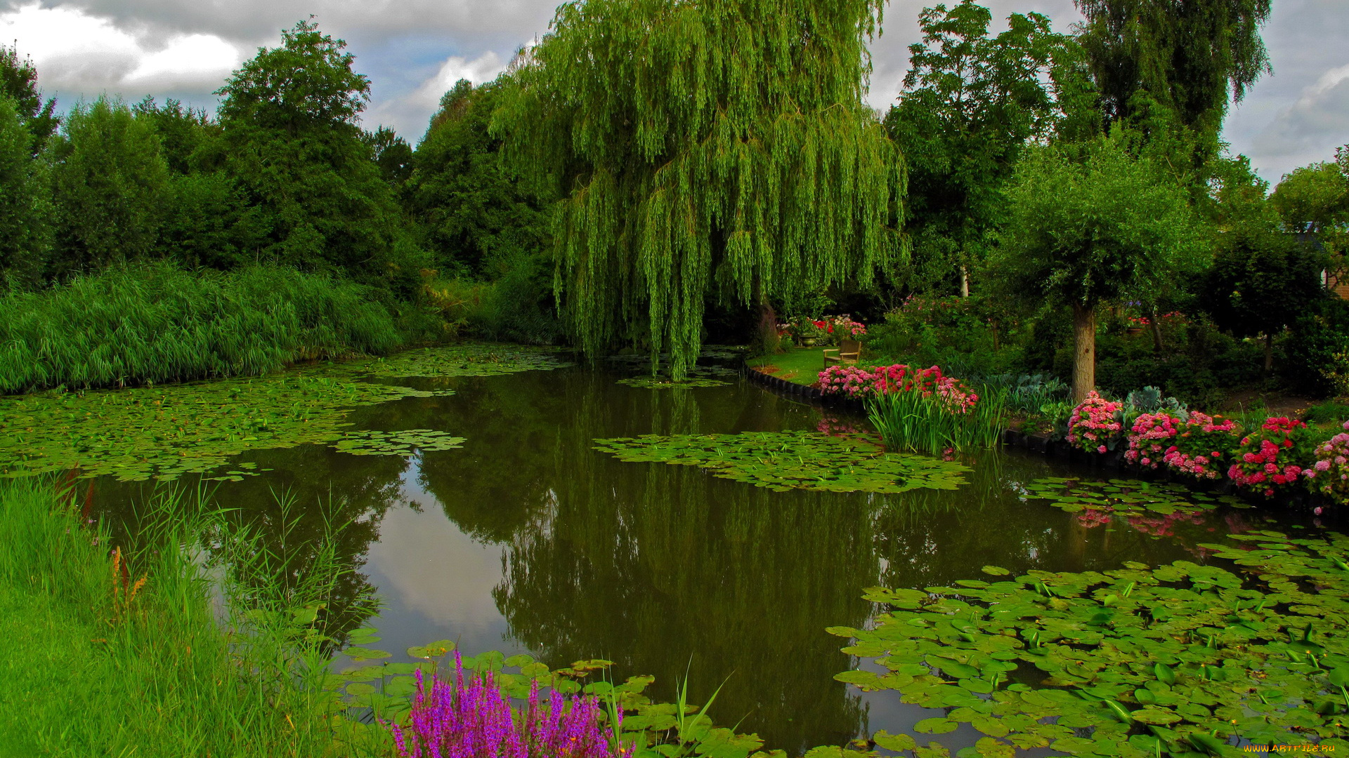 природа, парк, пруд, деревья, цветы