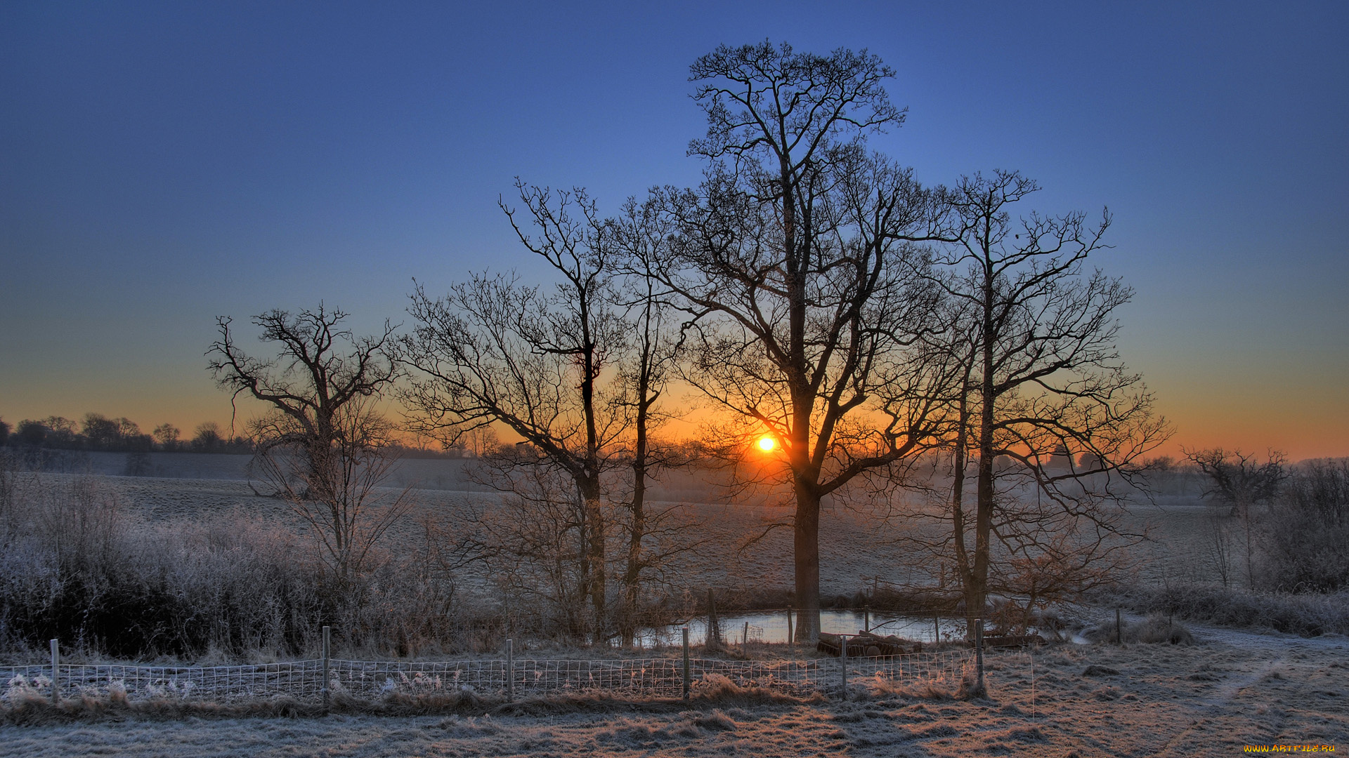 природа, восходы, закаты, забор, вечер, деревья