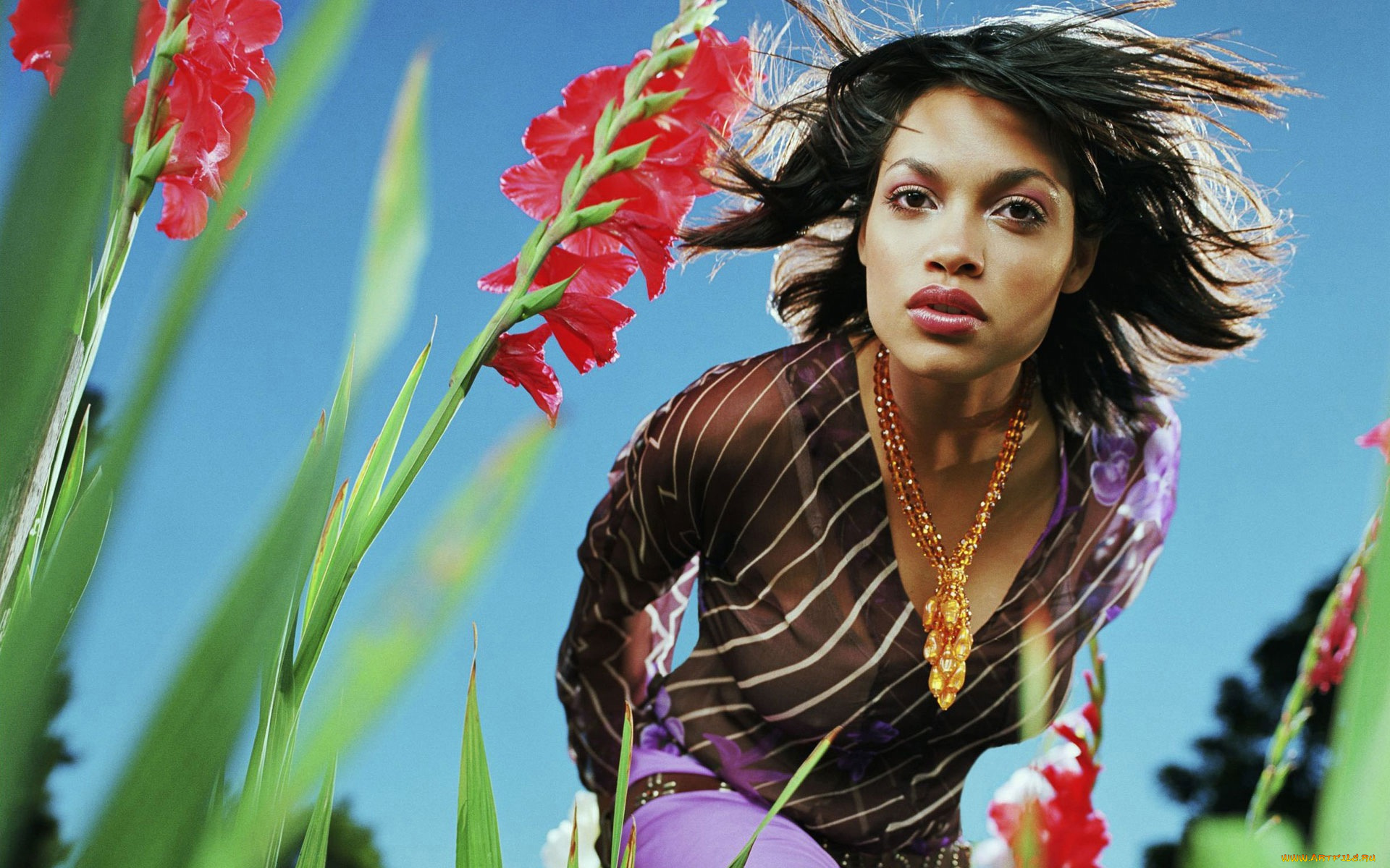 Rosario, Dawson, девушки, актриса