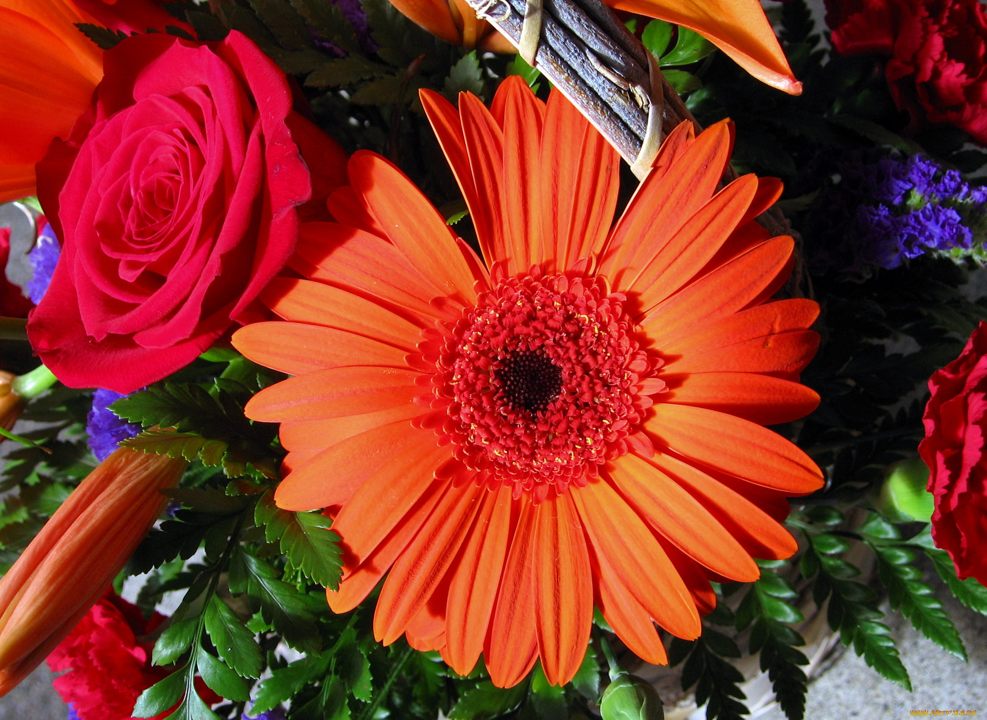 цветы, разные, вместе, лилии, роза, гербера