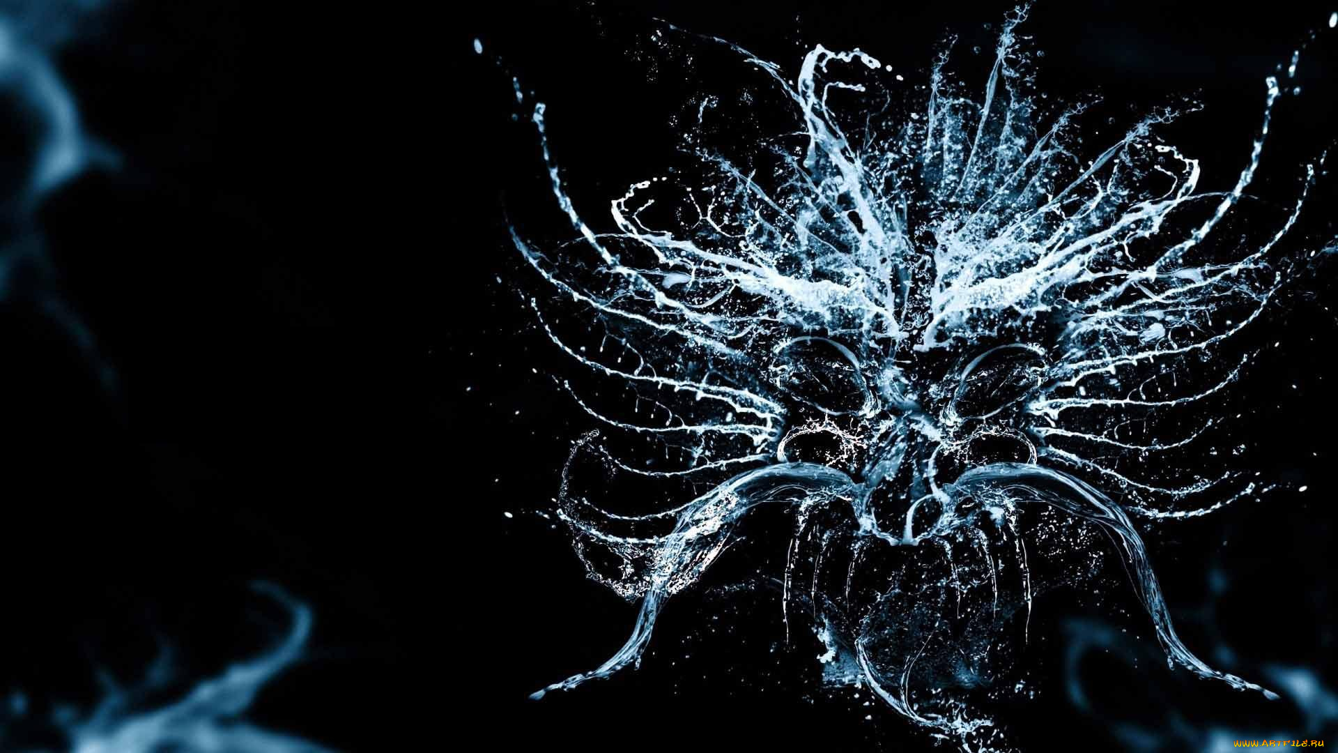 дракон, разное, компьютерный, дизайн, брызги, вода, морда