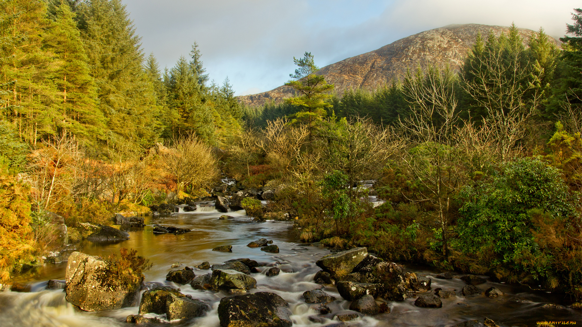 природа, реки, озера, деревья, ручей, камни, река, горы, лес