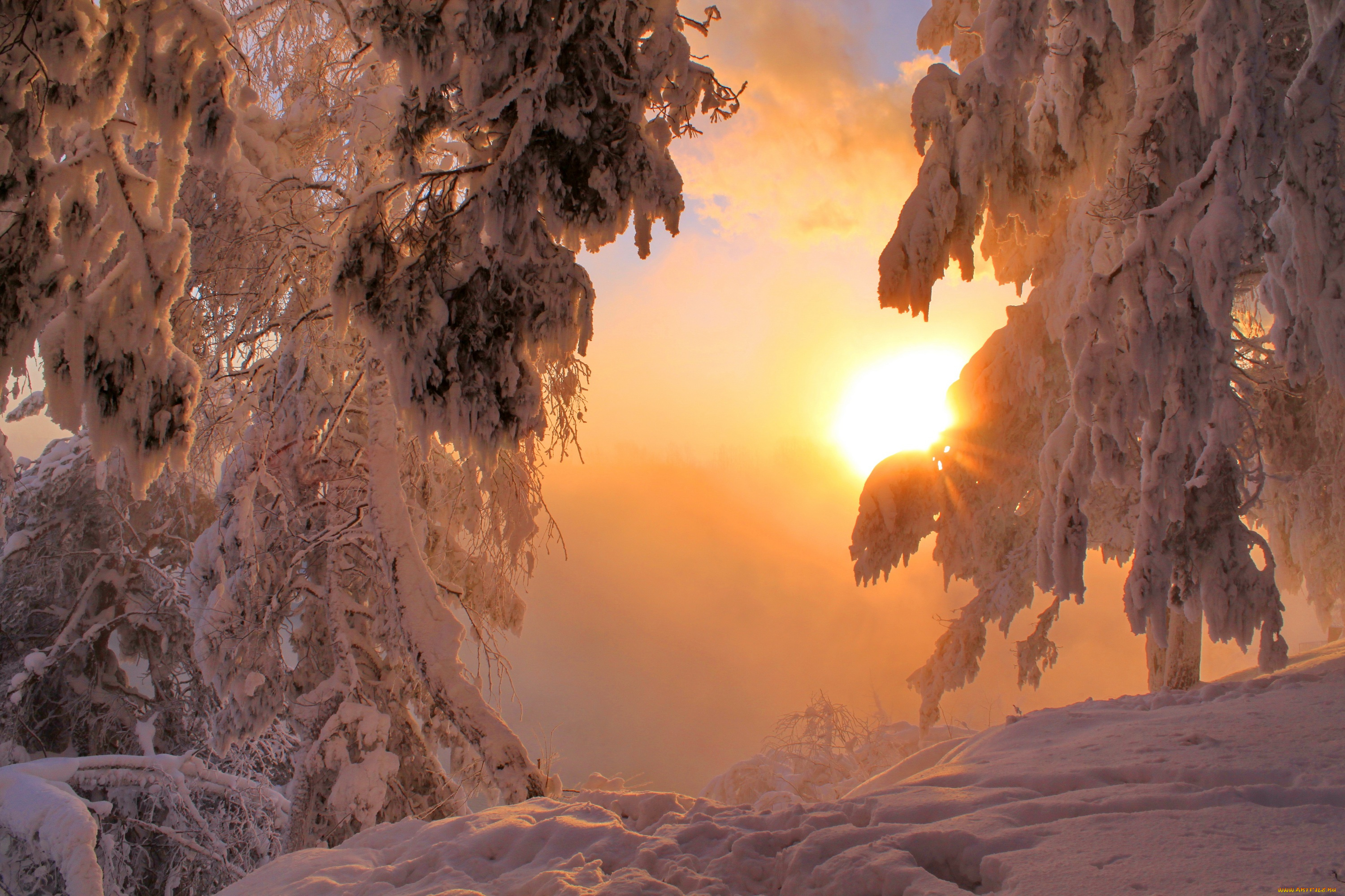 природа, зима, снег, солнце