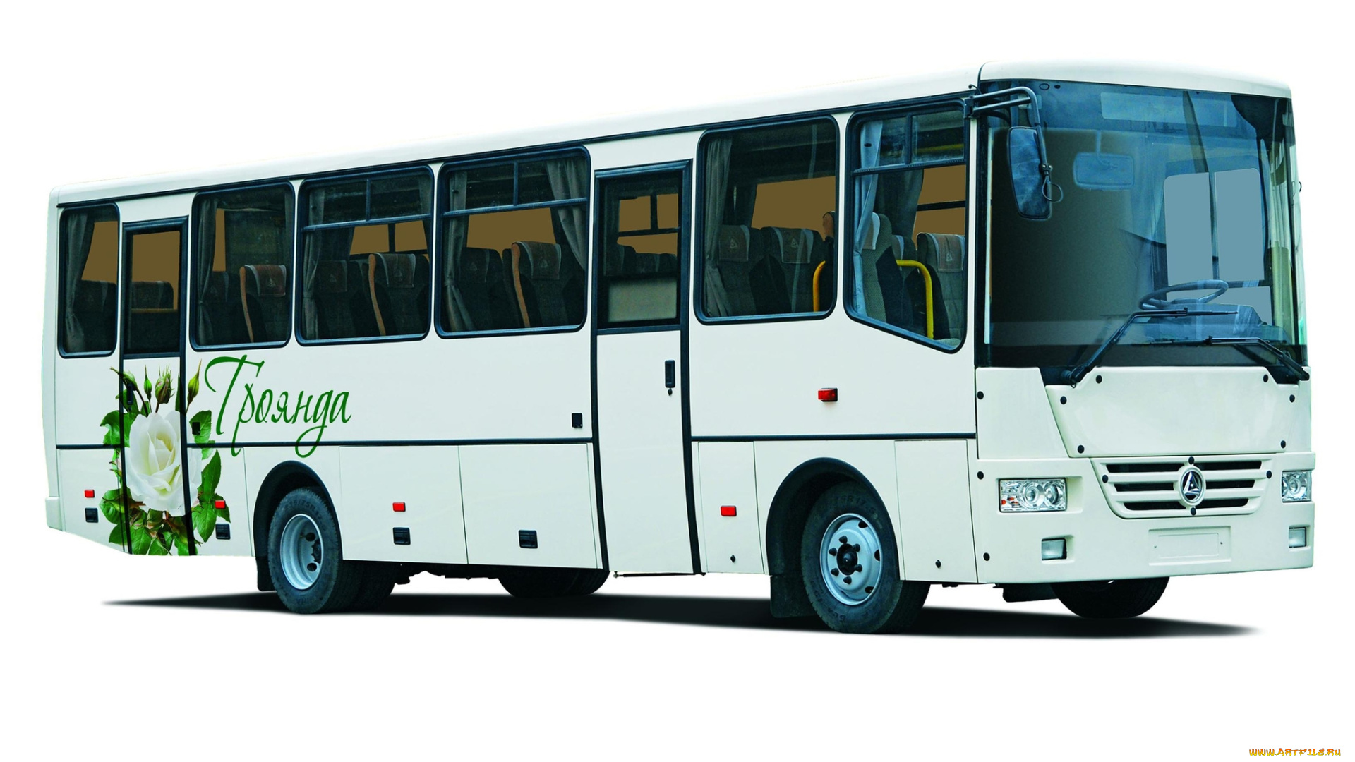 автомобили, автобусы, roza, a081-20, baz