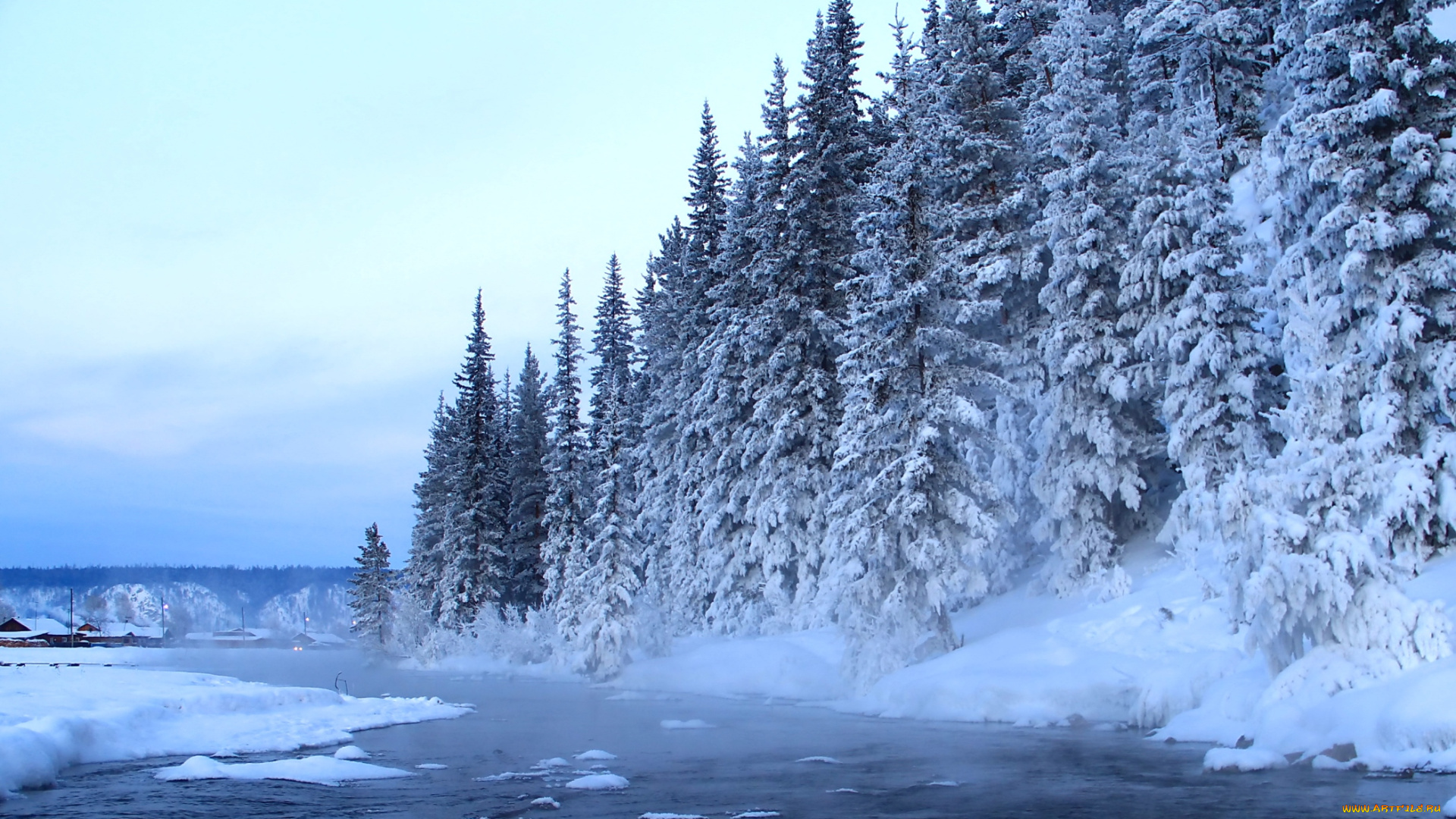 природа, зима, река, ели