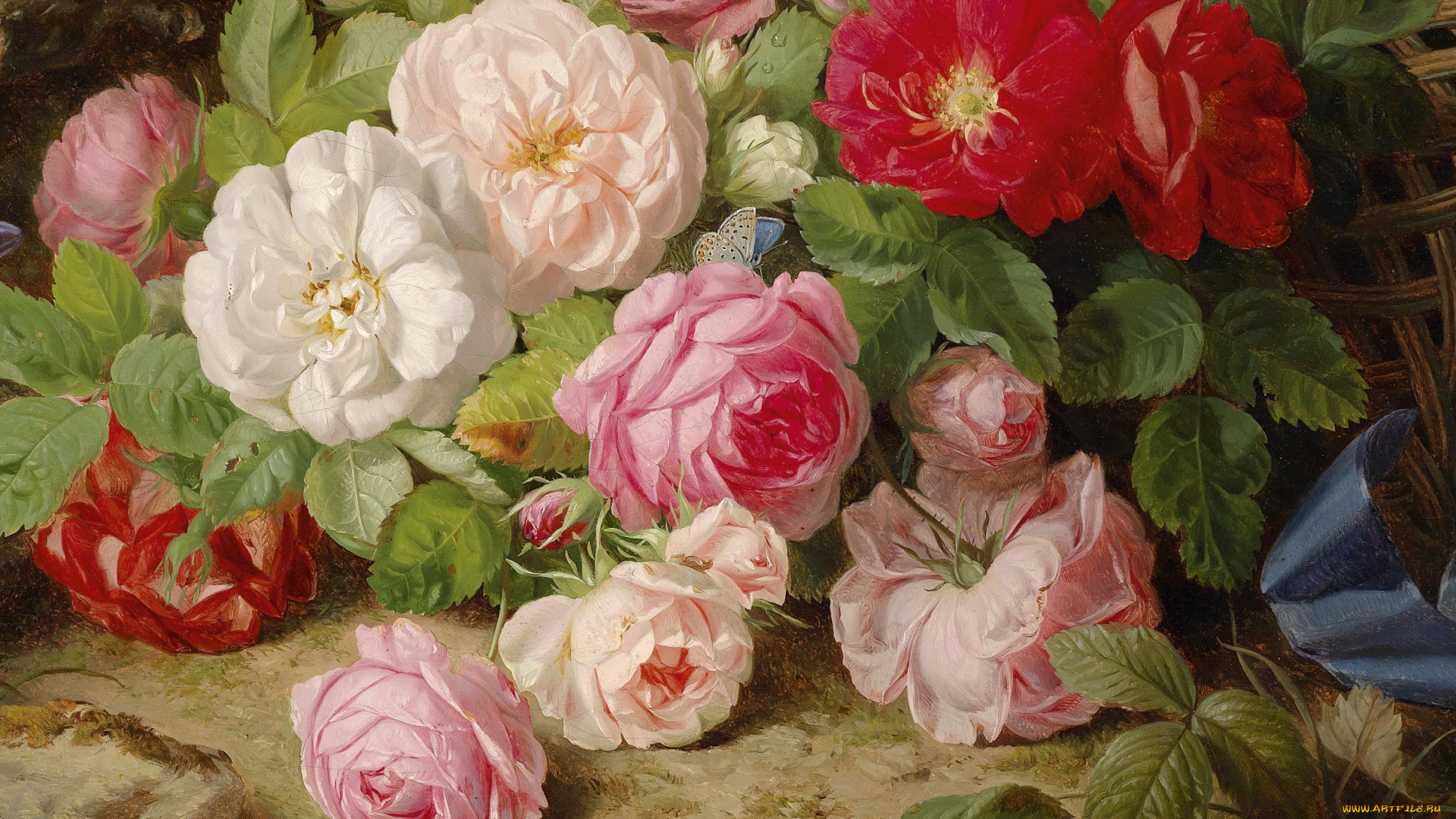 рисованные, цветы, фрагмент, картины, бабочка, розы