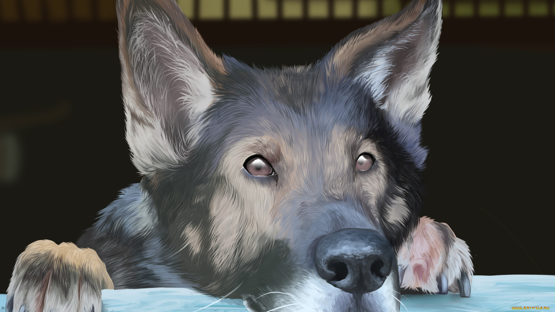 рисованные, животные, , собаки, уши, взгляд, морда