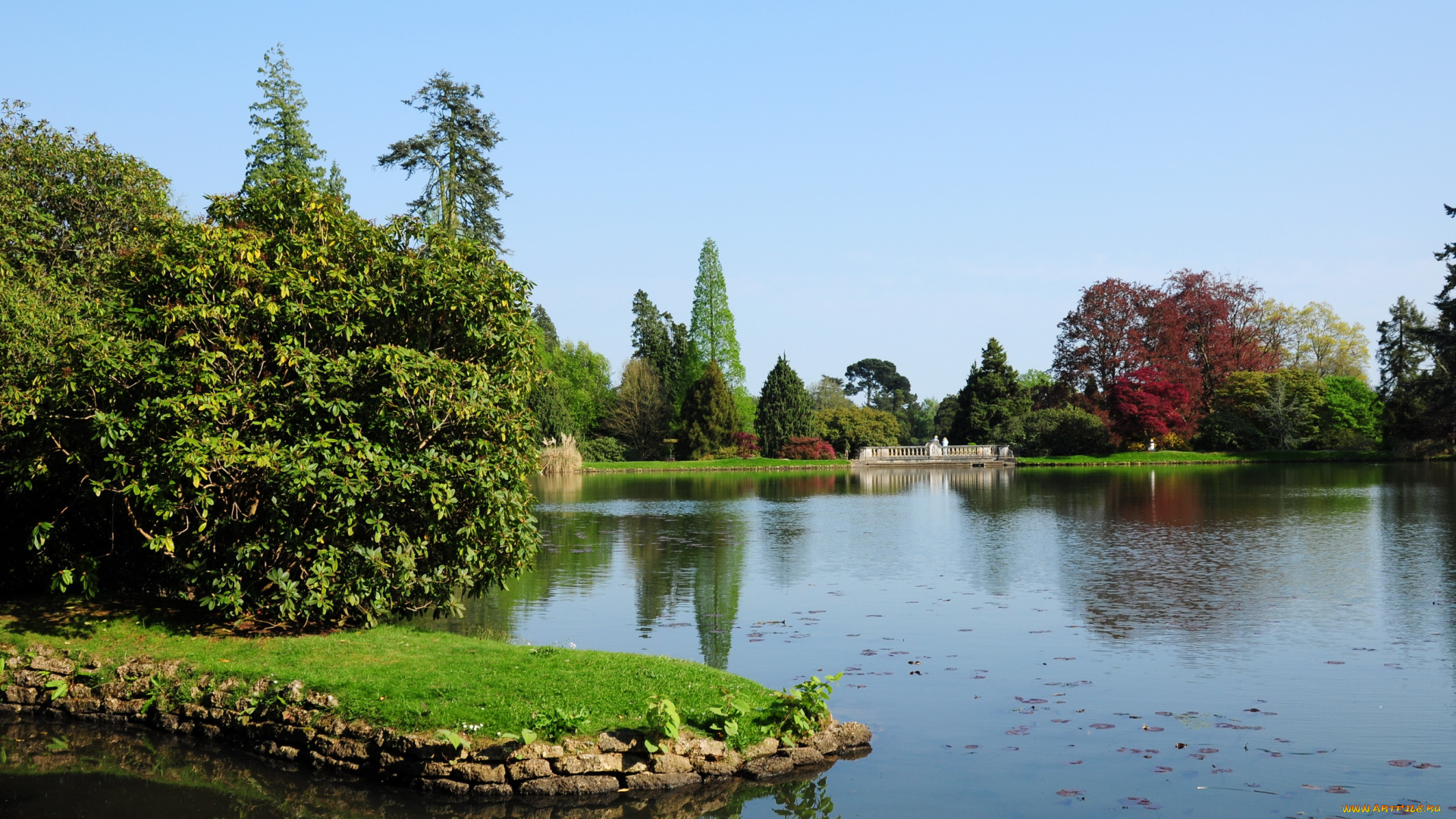 sheffield, park, garden, england, природа, парк, england, park, garden, sheffield, пруд, растения