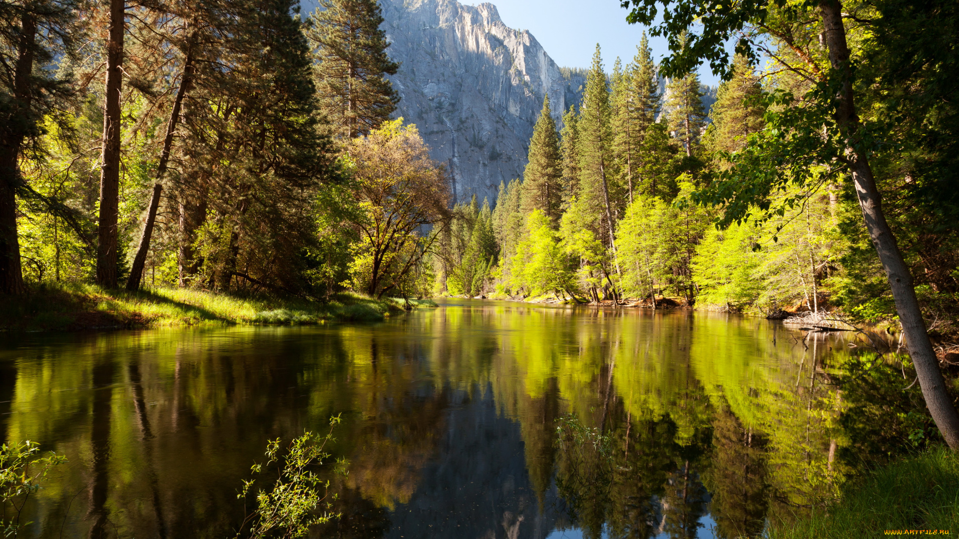 yosemite, national, park, california, природа, реки, озера, горы, парк, озеро, лес, california, park, yosemite