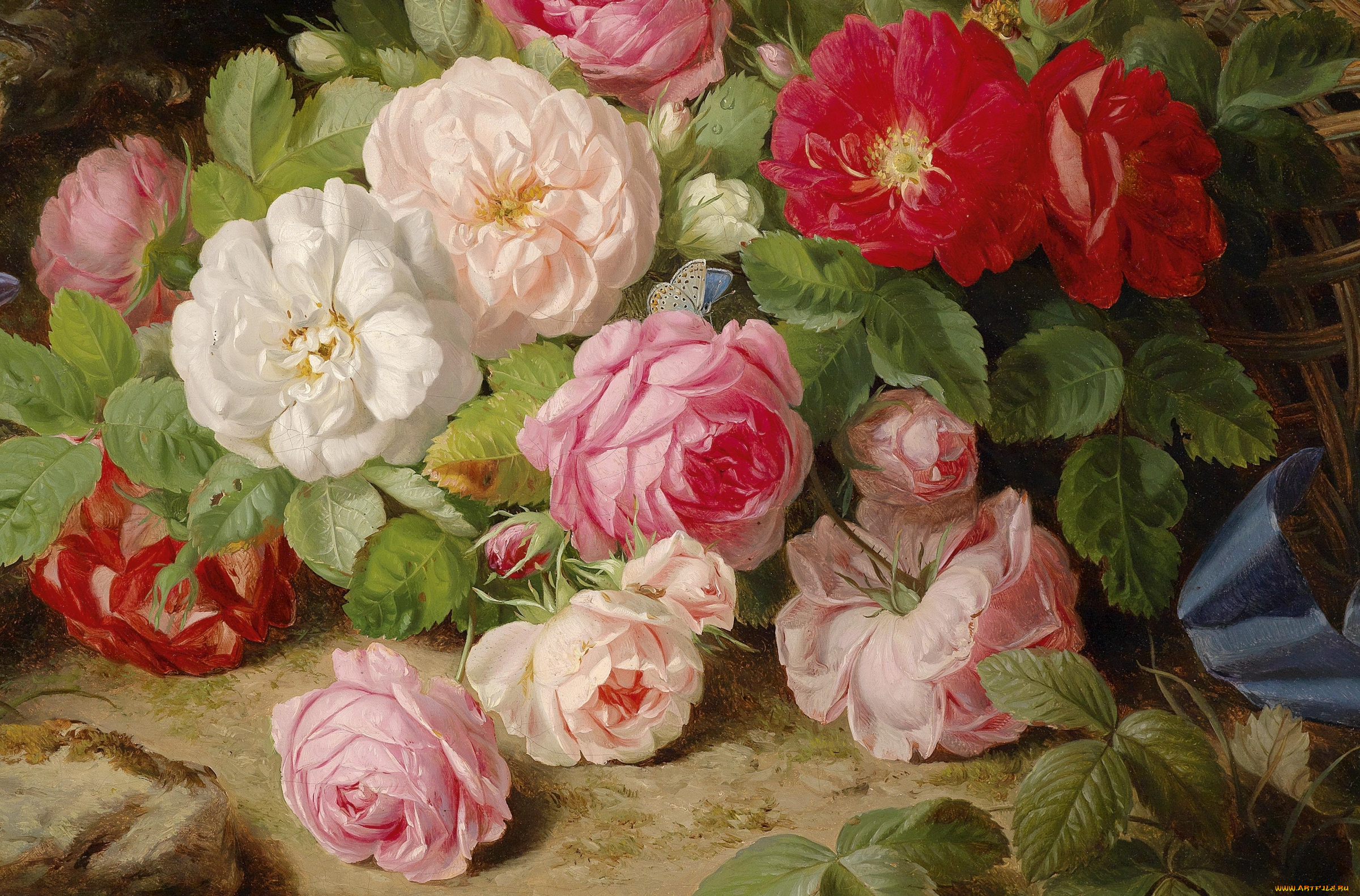 рисованные, цветы, фрагмент, картины, бабочка, розы