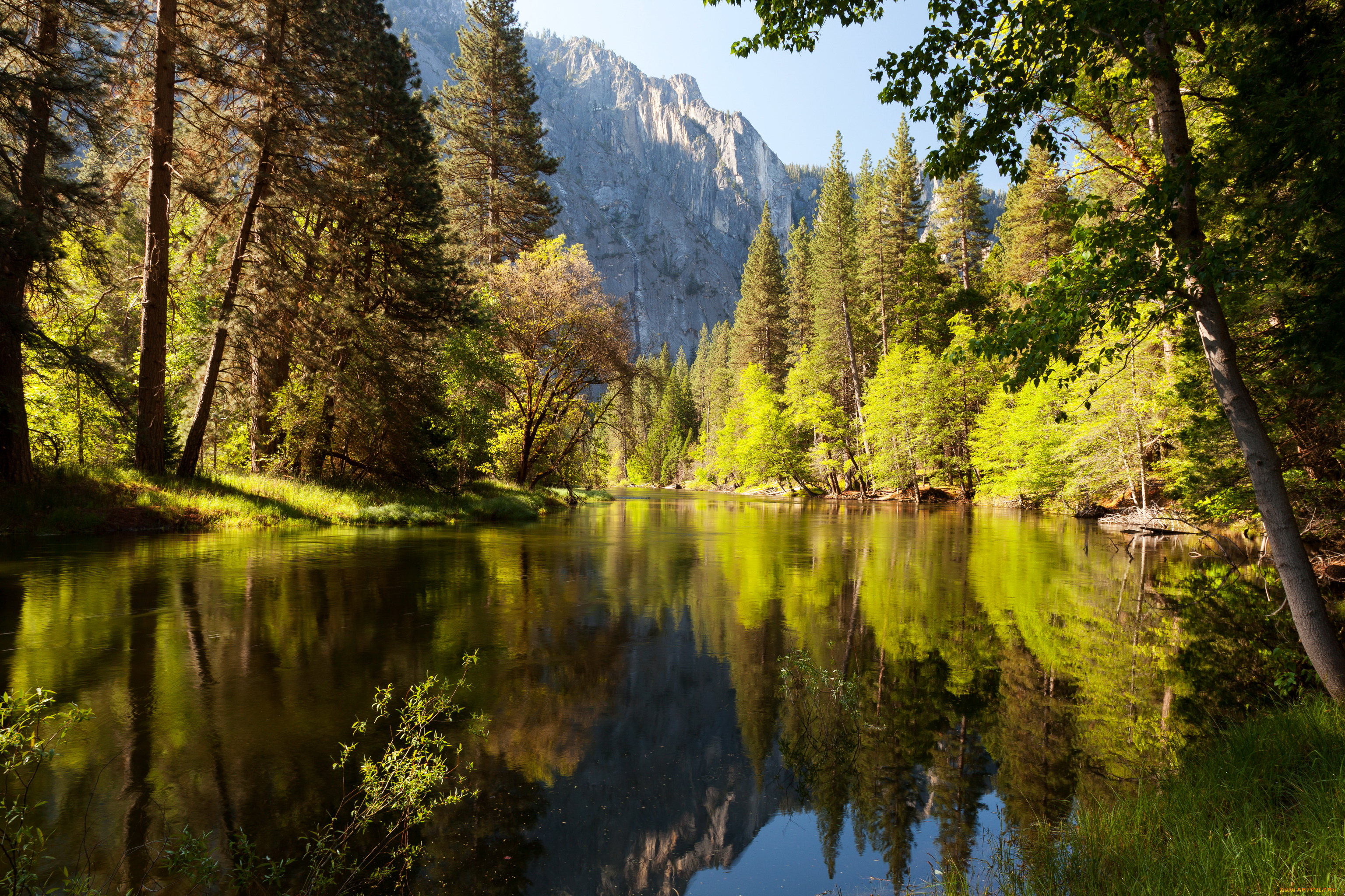 yosemite, national, park, california, природа, реки, озера, горы, парк, озеро, лес, california, park, yosemite