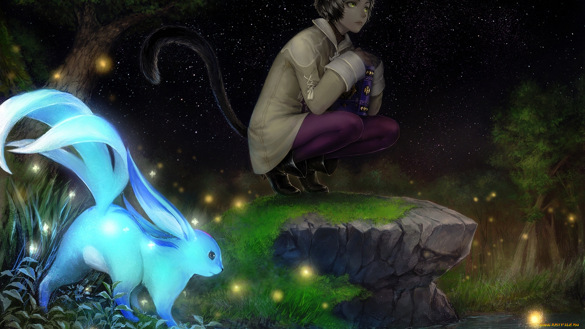 аниме, животные, , существа, парень, tetsu420, uraki, арт, книга, хвост, ушки, животное, небо, ночь, звезды