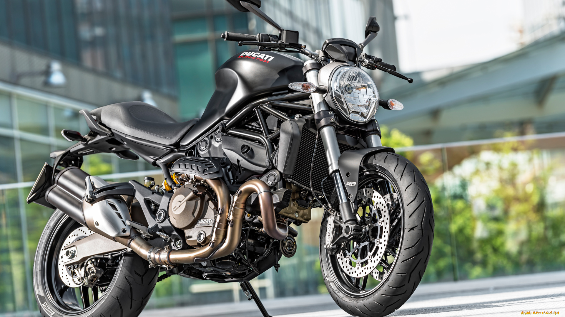 мотоциклы, ducati